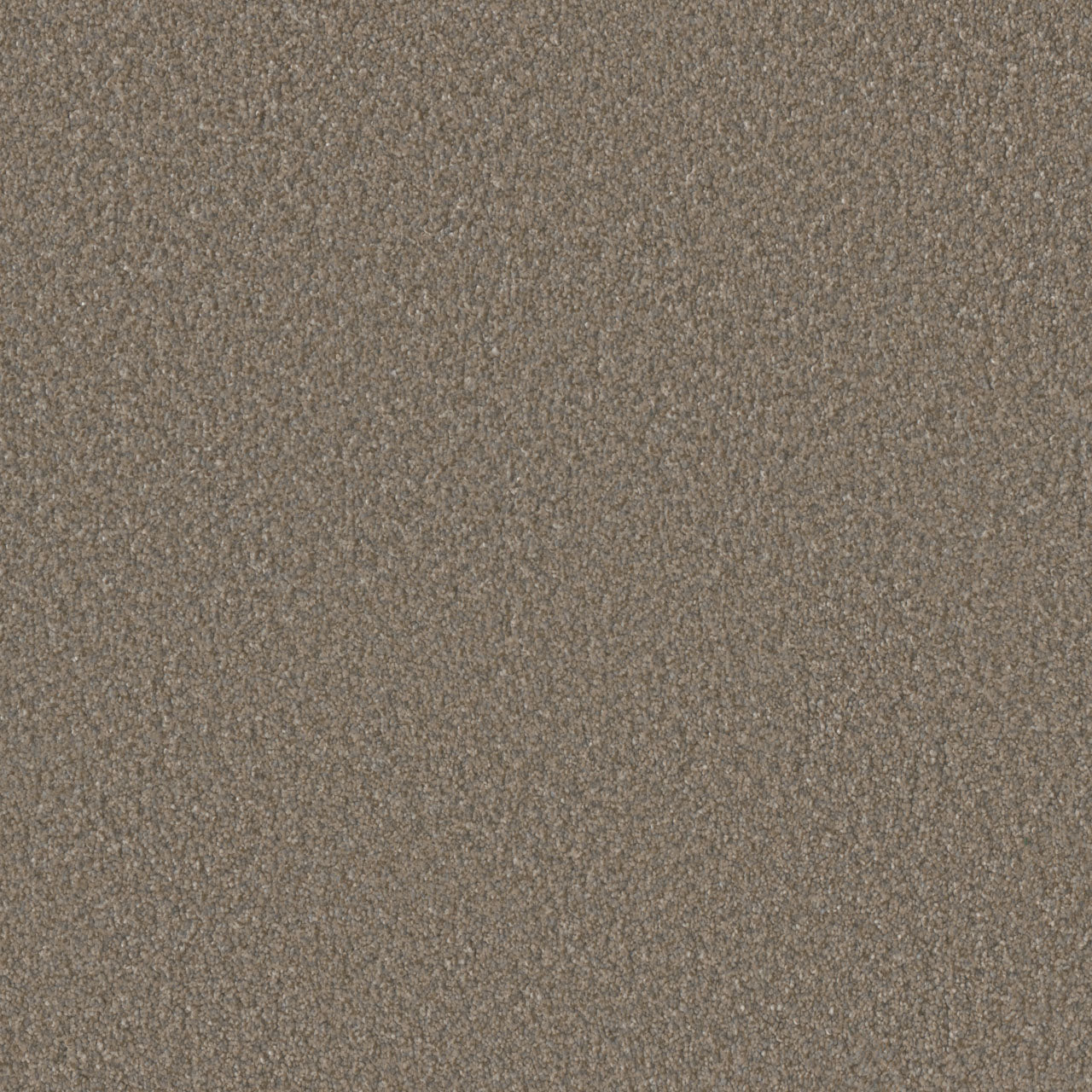 DreamWeaver® Malibu I Textured Cut Pile Carpet