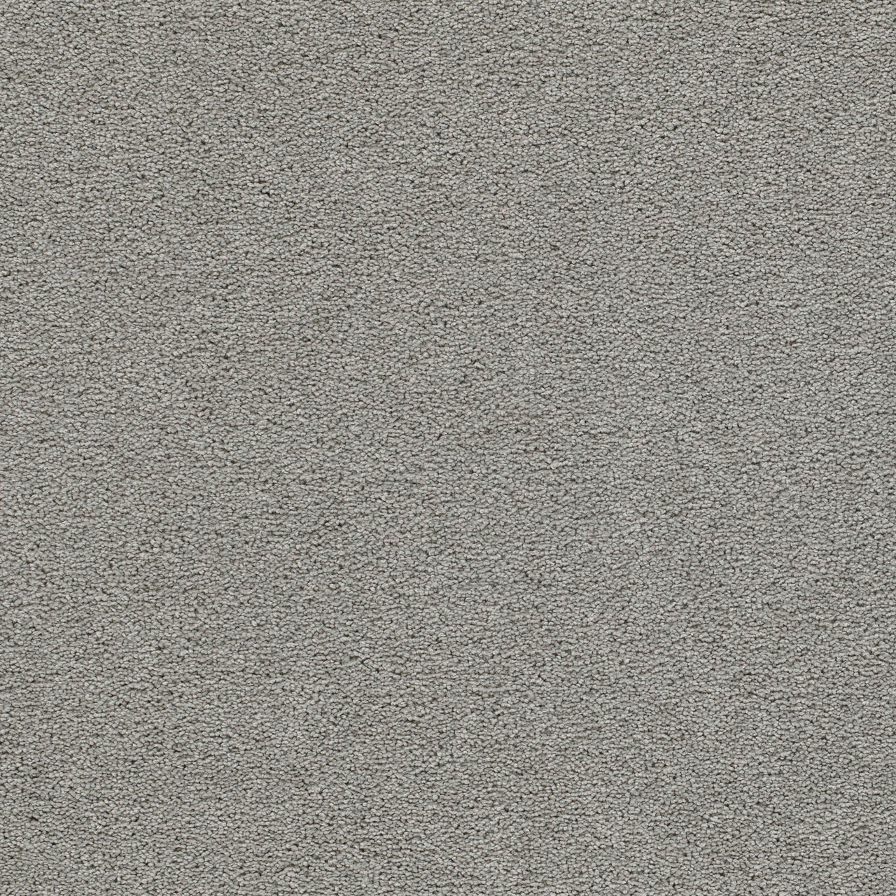 DreamWeaver® Malibu I Textured Cut Pile Carpet