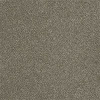 DreamWeaver® Malibu I Textured Cut Pile Carpet