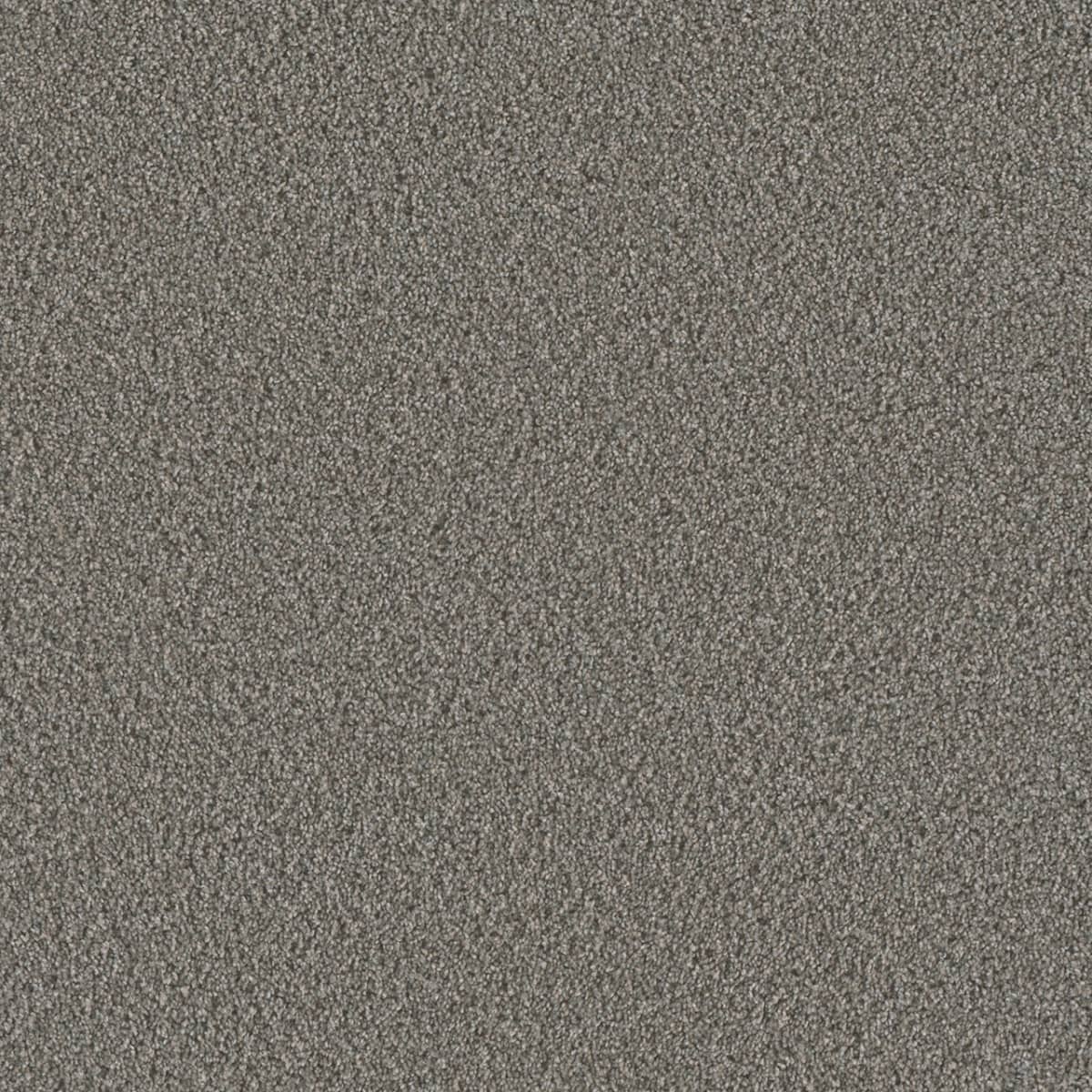 DreamWeaver® Metropolis II Textured Carpet