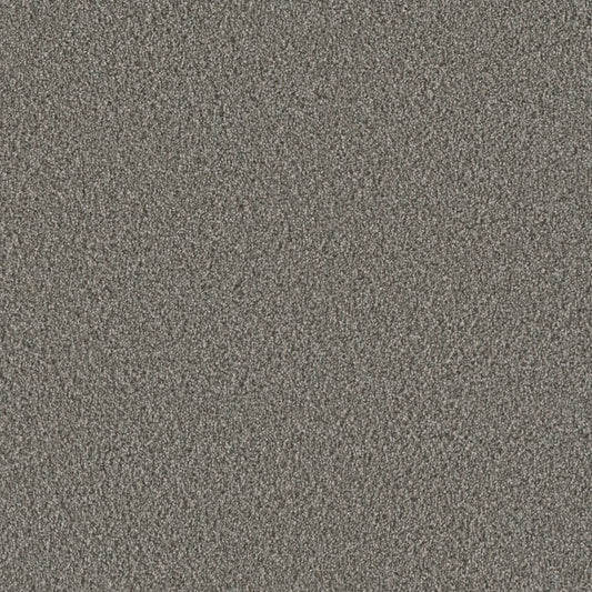 DreamWeaver® Metropolis III Textured Carpet