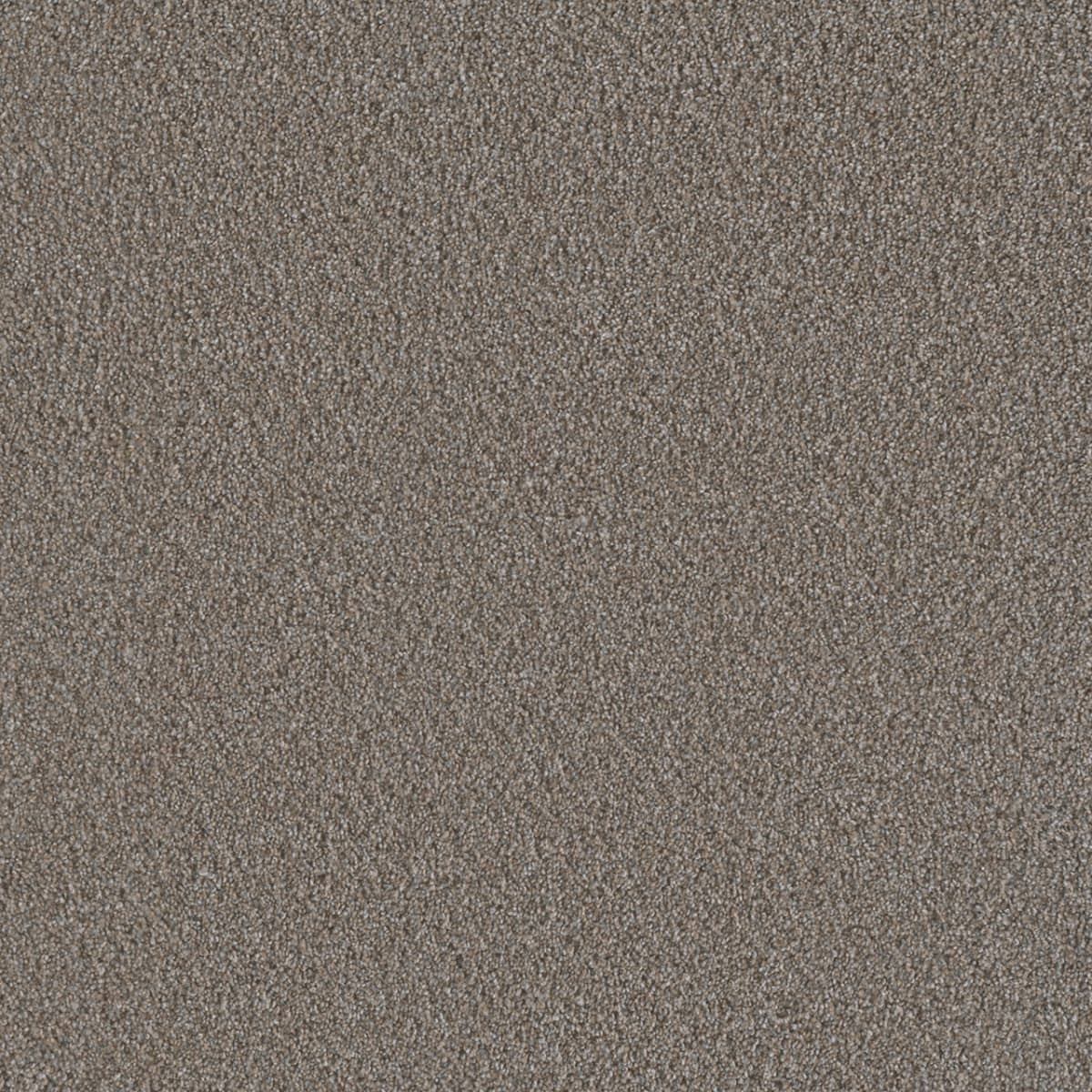 DreamWeaver® Metropolis II Textured Carpet