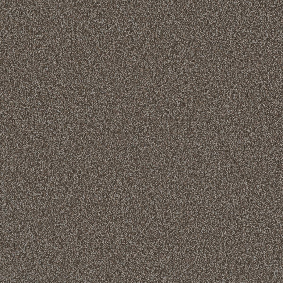 DreamWeaver® Metropolis II Textured Carpet