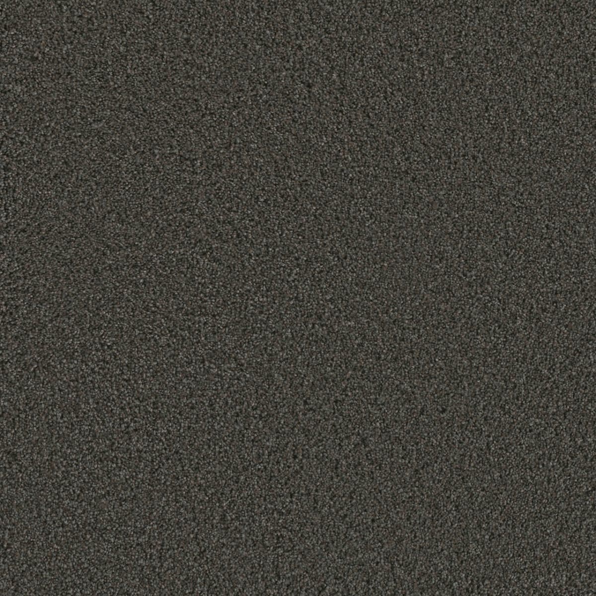 DreamWeaver® Metropolis II Textured Carpet