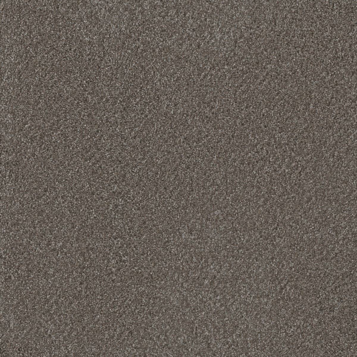 DreamWeaver® Metropolis II Textured Carpet