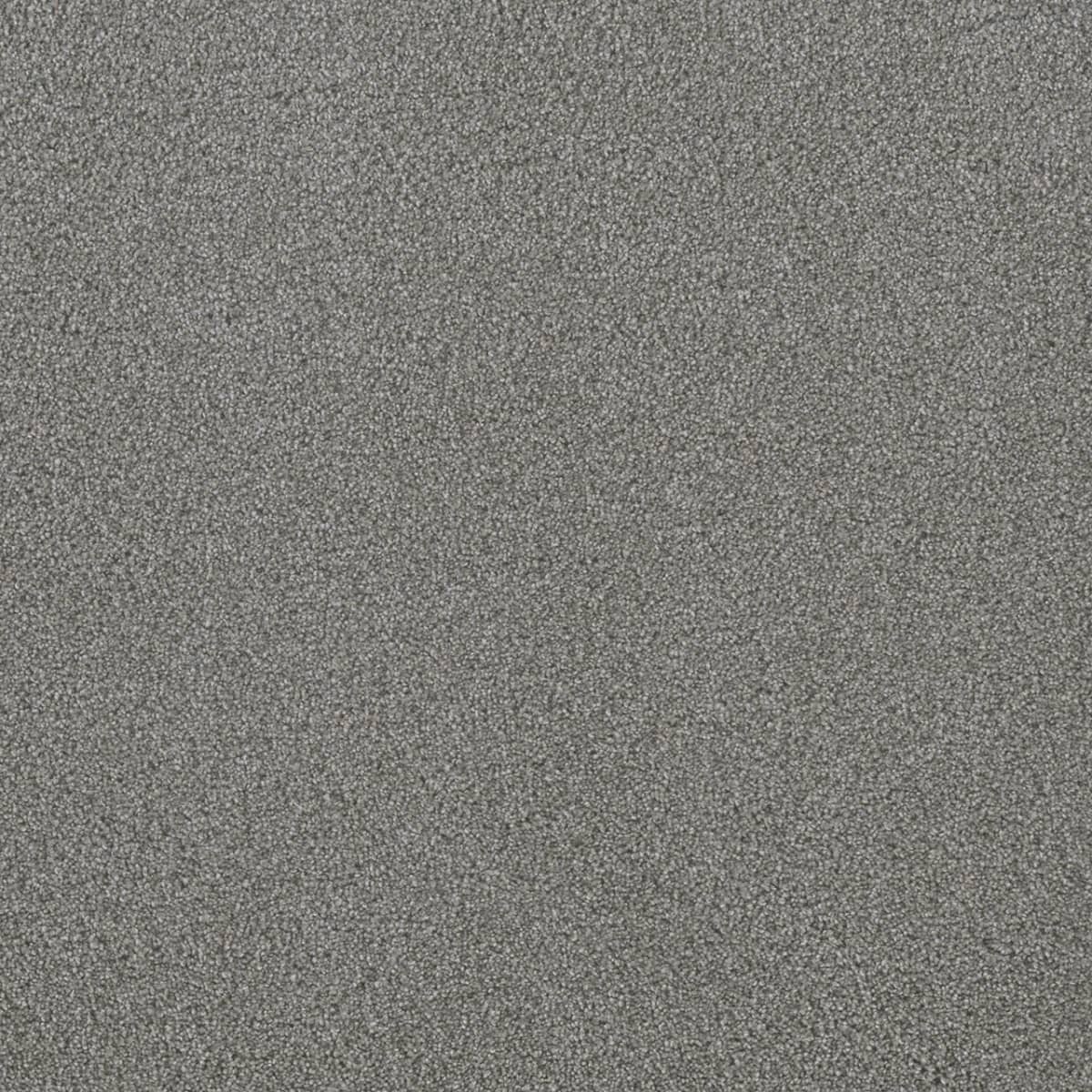 DreamWeaver® Metropolis II Textured Carpet