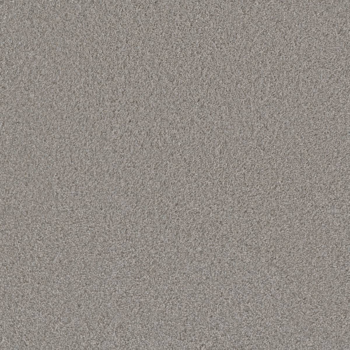 DreamWeaver® Metropolis II Textured Carpet