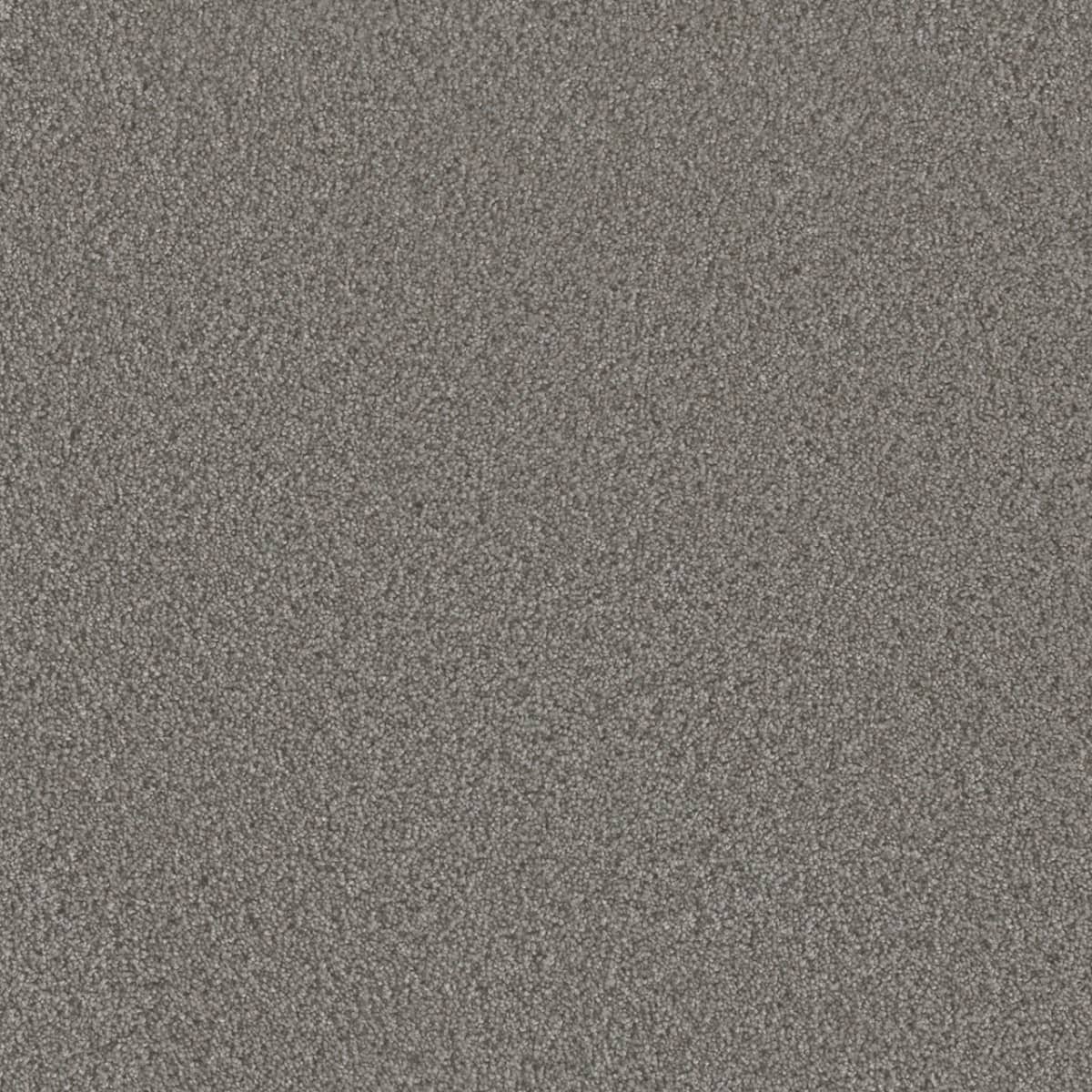 DreamWeaver® Metropolis II Textured Carpet