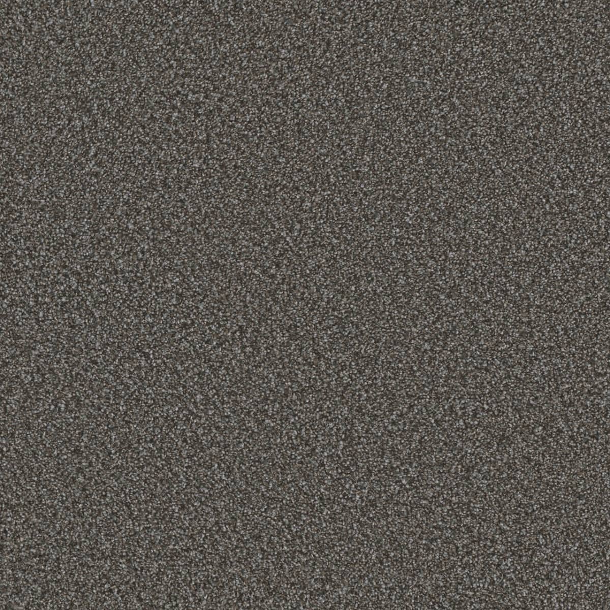 DreamWeaver® Metropolis II Textured Carpet