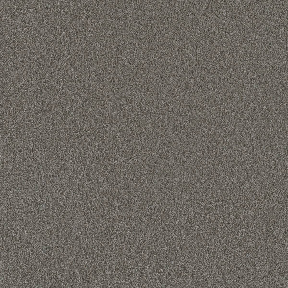 DreamWeaver® Metropolis II Textured Carpet