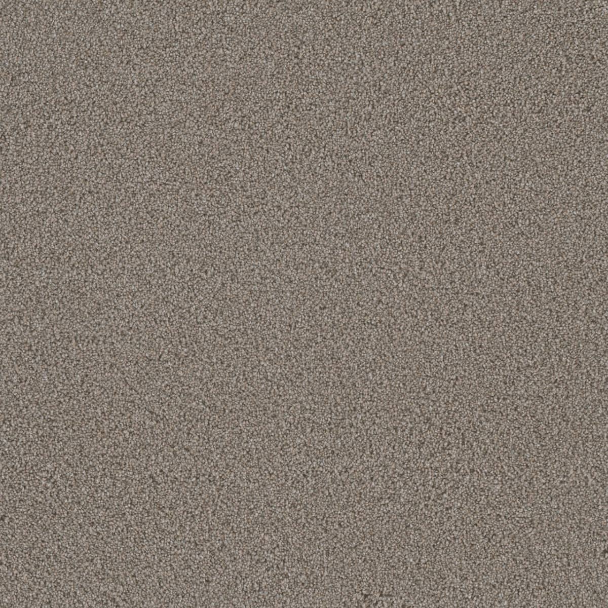 DreamWeaver® Metropolis II Textured Carpet