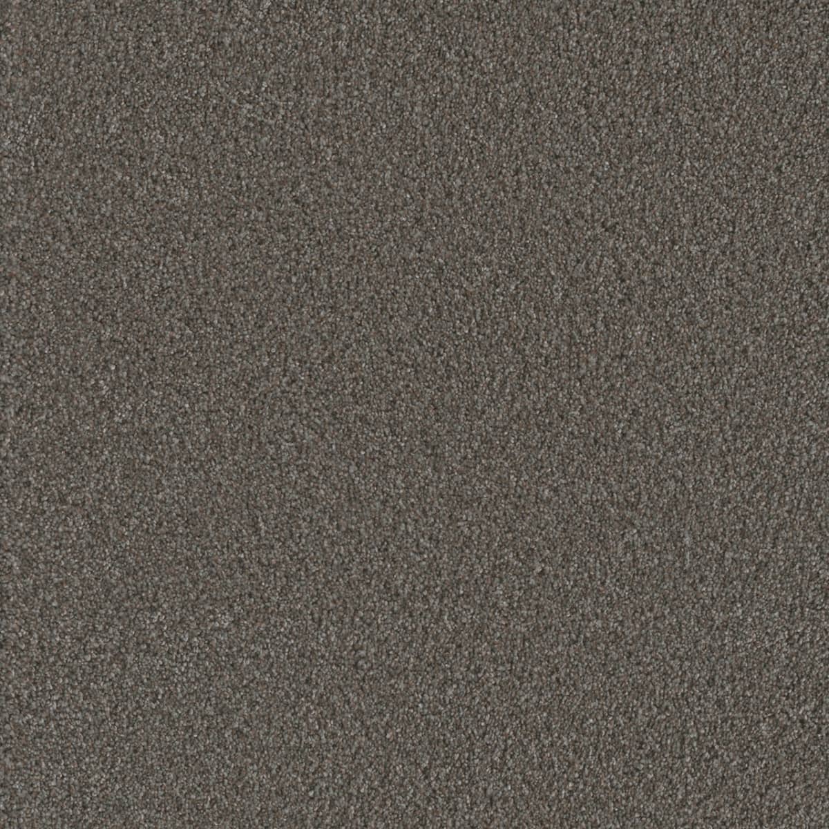 DreamWeaver® Metropolis II Textured Carpet