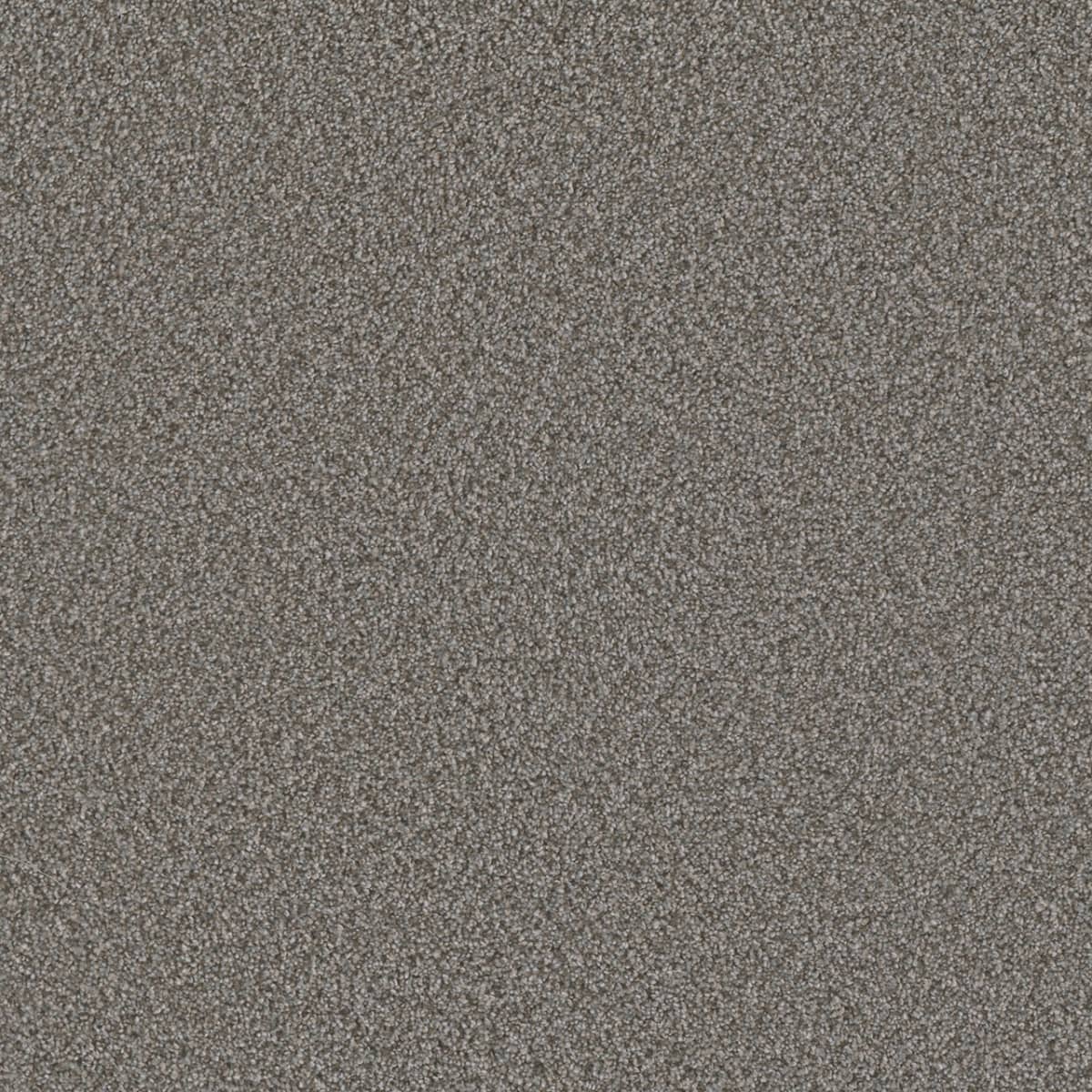 DreamWeaver® Metropolis II Textured Carpet