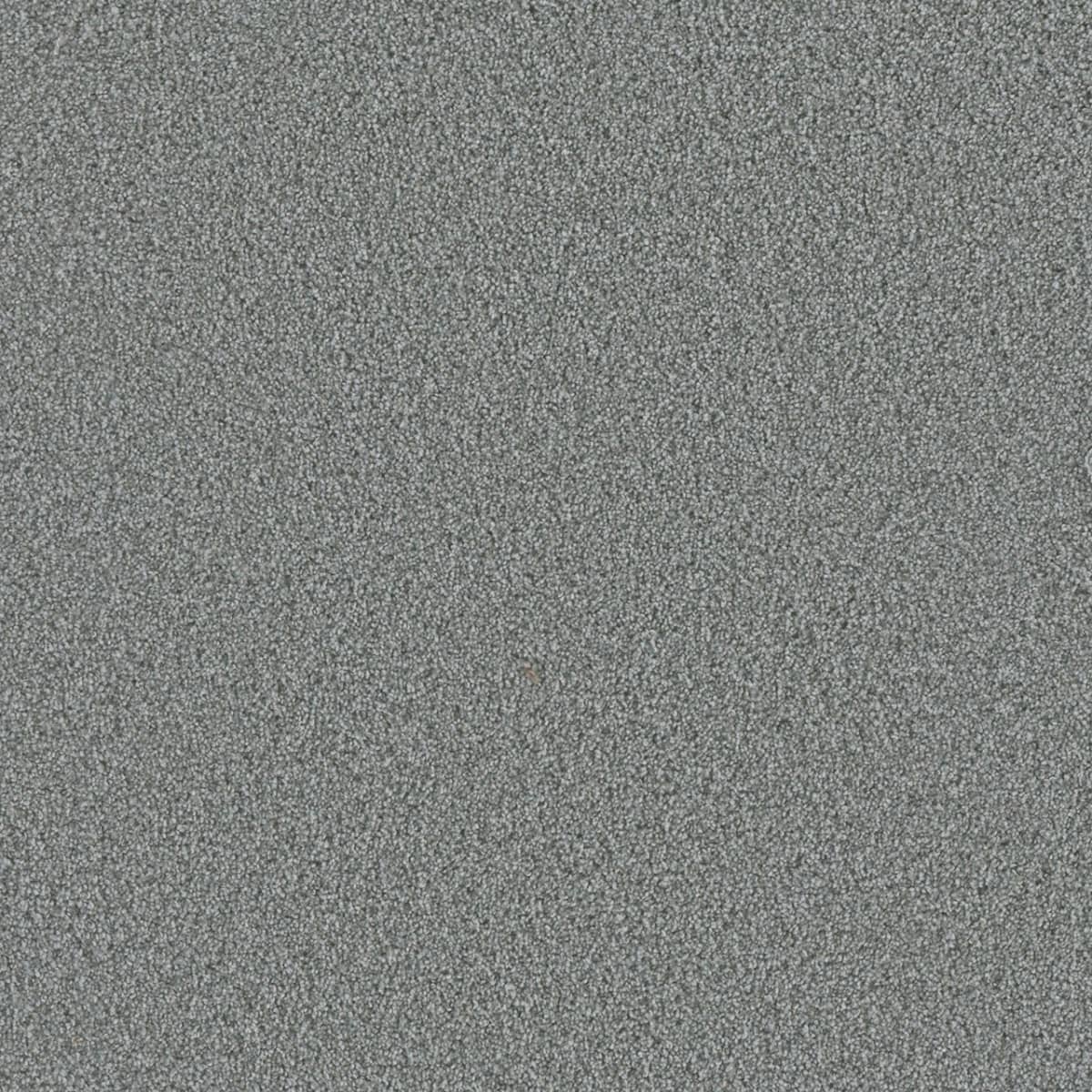 DreamWeaver® Metropolis II Textured Carpet