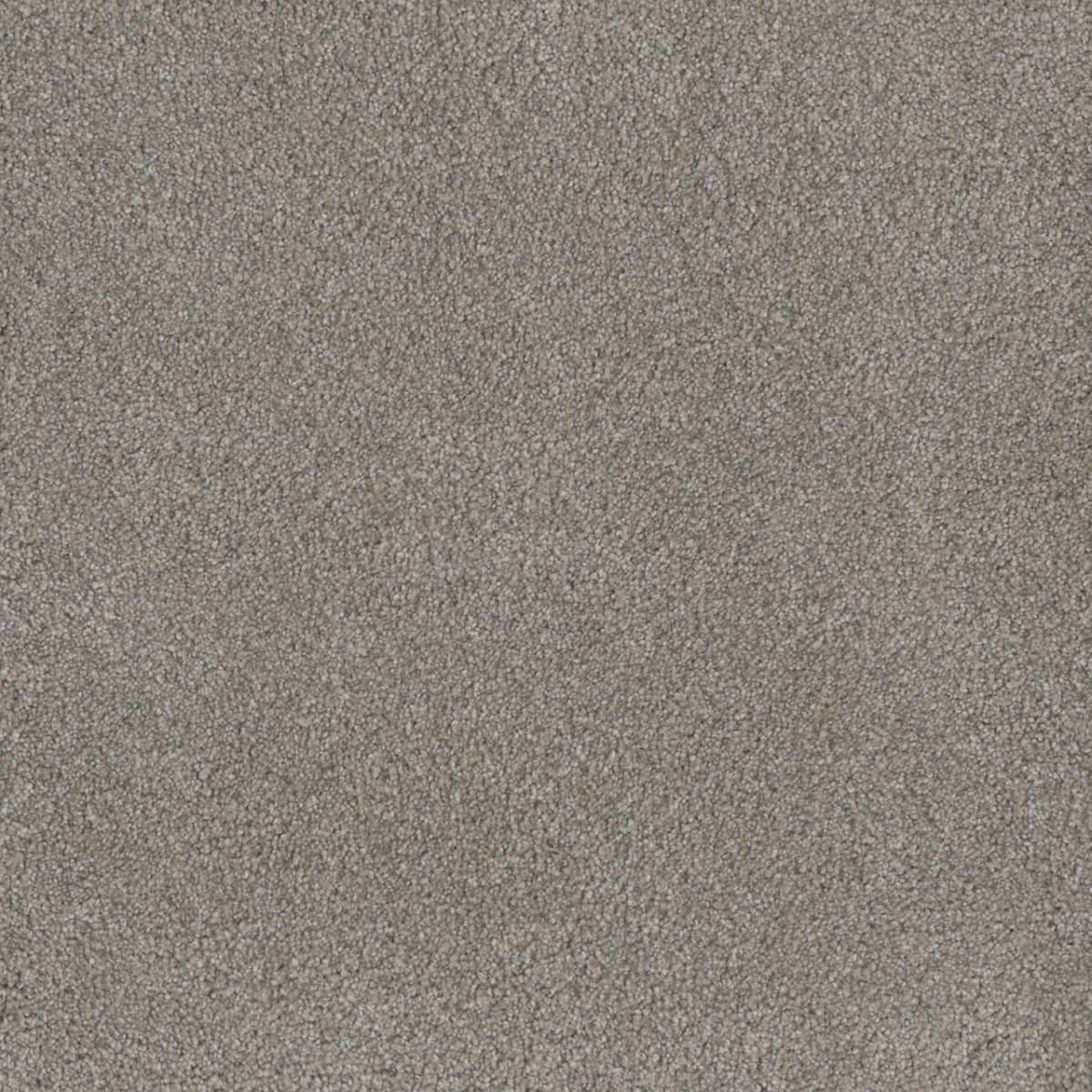 DreamWeaver® Monte Carlo I Textured Cut Pile Carpet