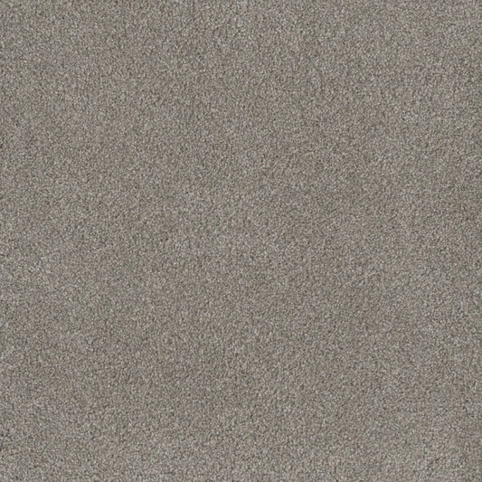 DreamWeaver® Monte Carlo II Textured Cut Pile Carpet