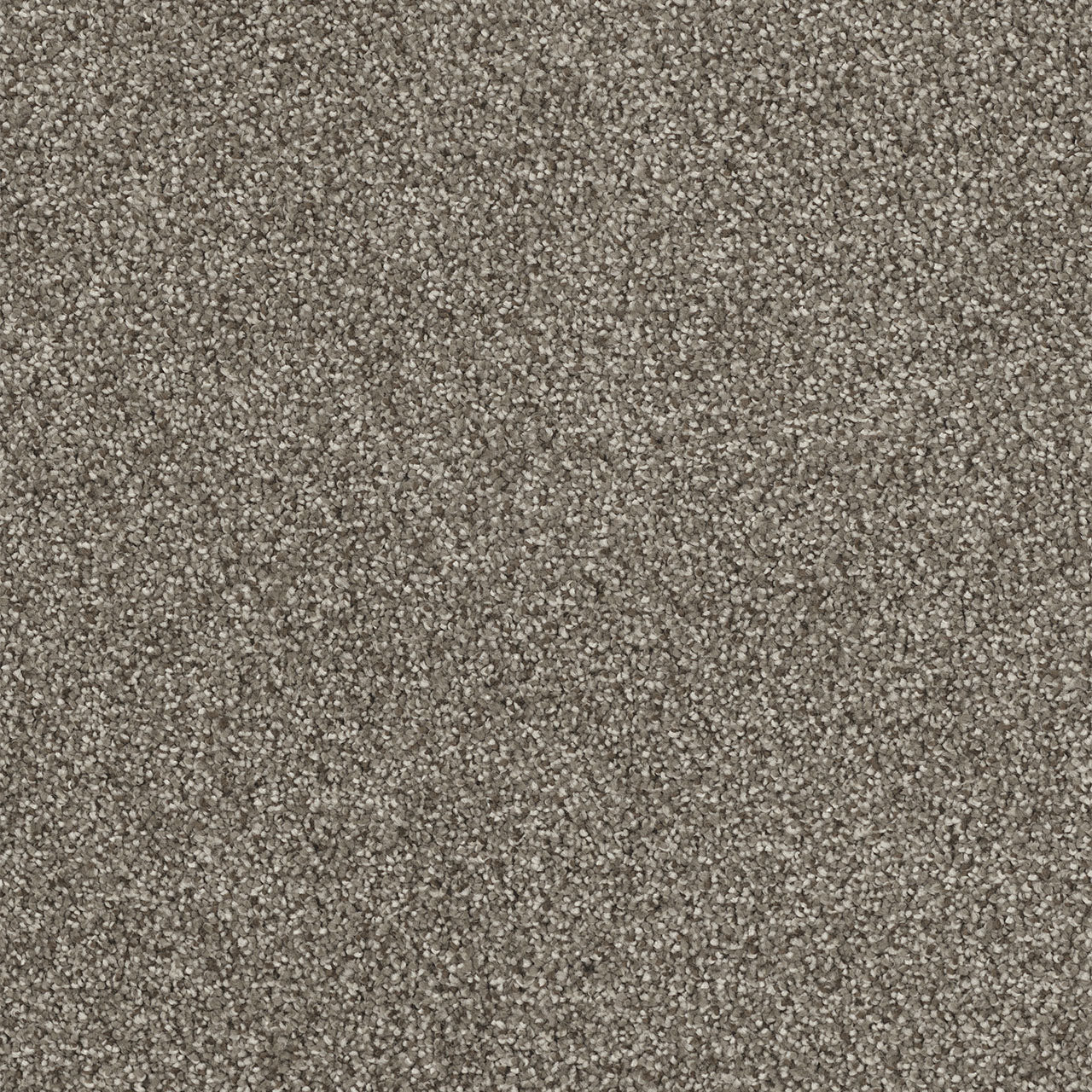 DreamWeaver® Monte Carlo I Textured Cut Pile Carpet