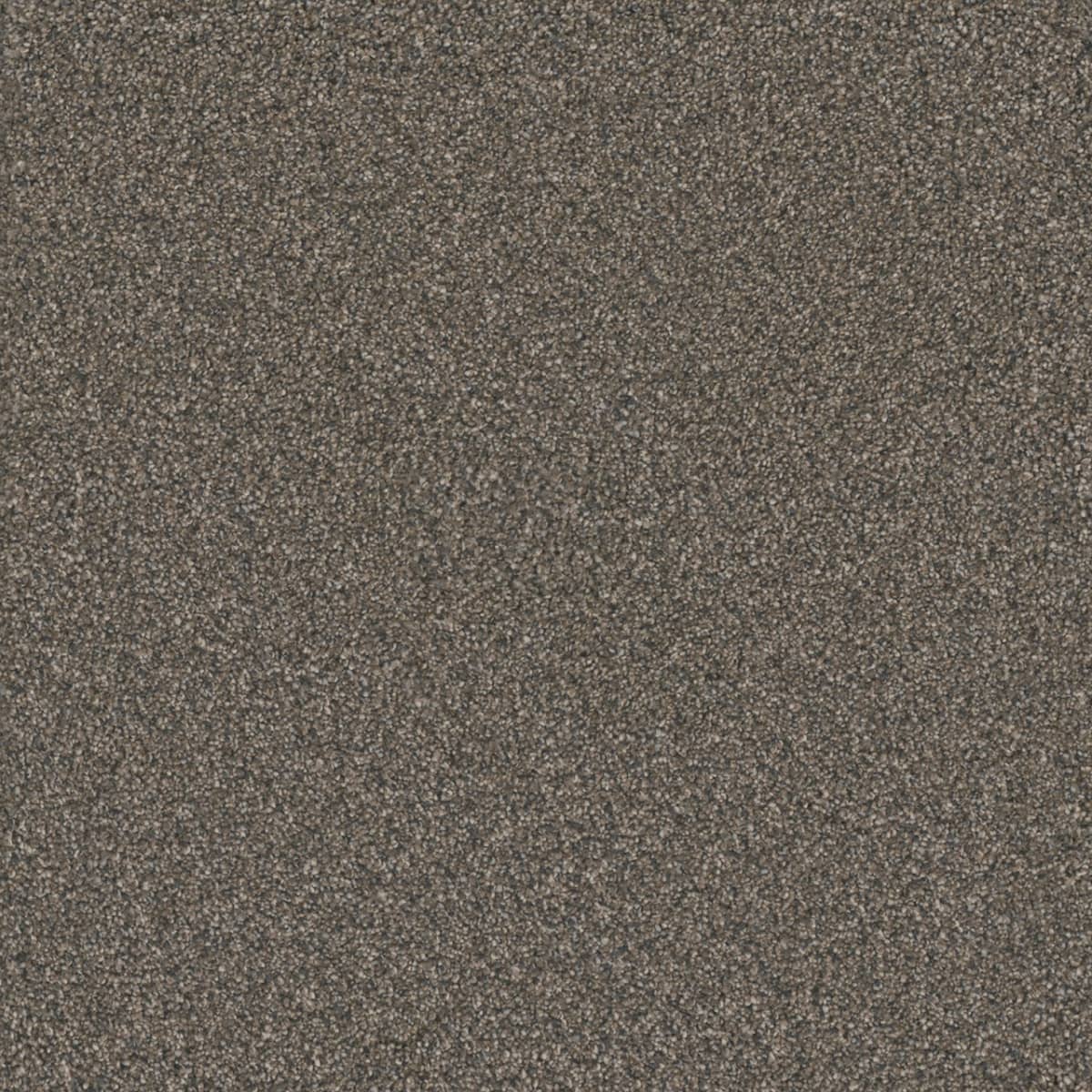 DreamWeaver® Monte Carlo I Textured Cut Pile Carpet