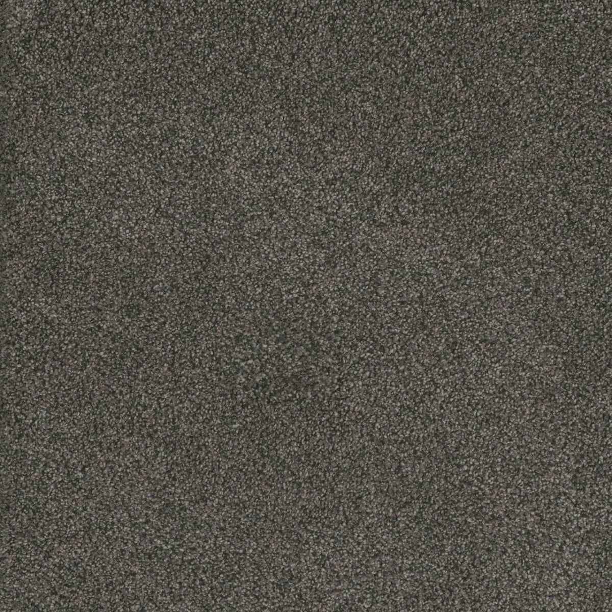 DreamWeaver® Monte Carlo I Textured Cut Pile Carpet