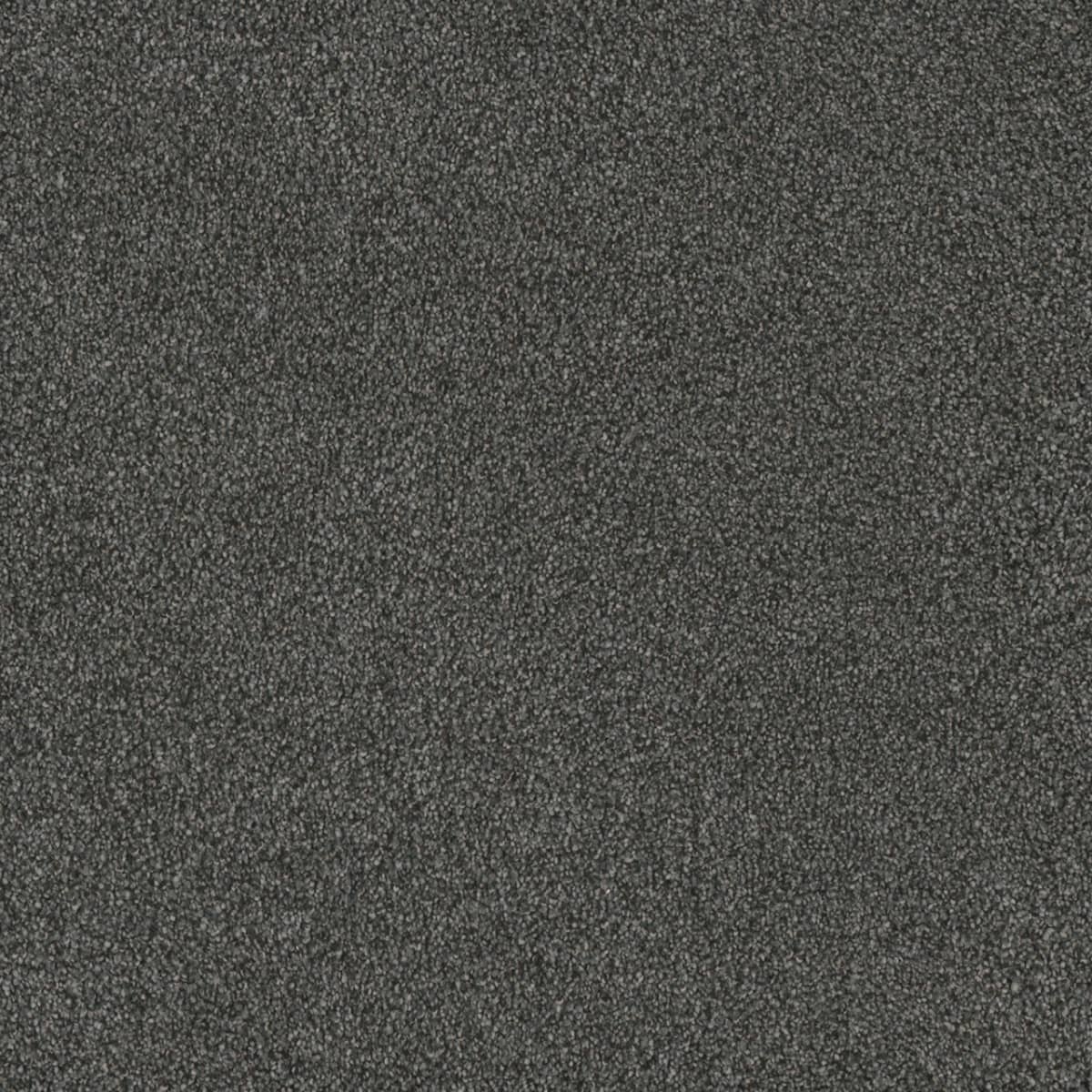 DreamWeaver® Monte Carlo I Textured Cut Pile Carpet