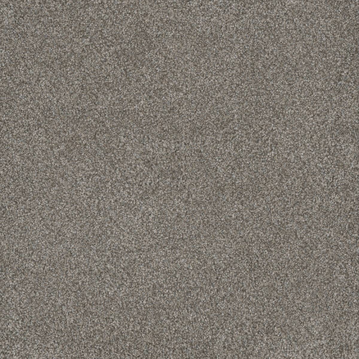 DreamWeaver® Monte Carlo I Textured Cut Pile Carpet