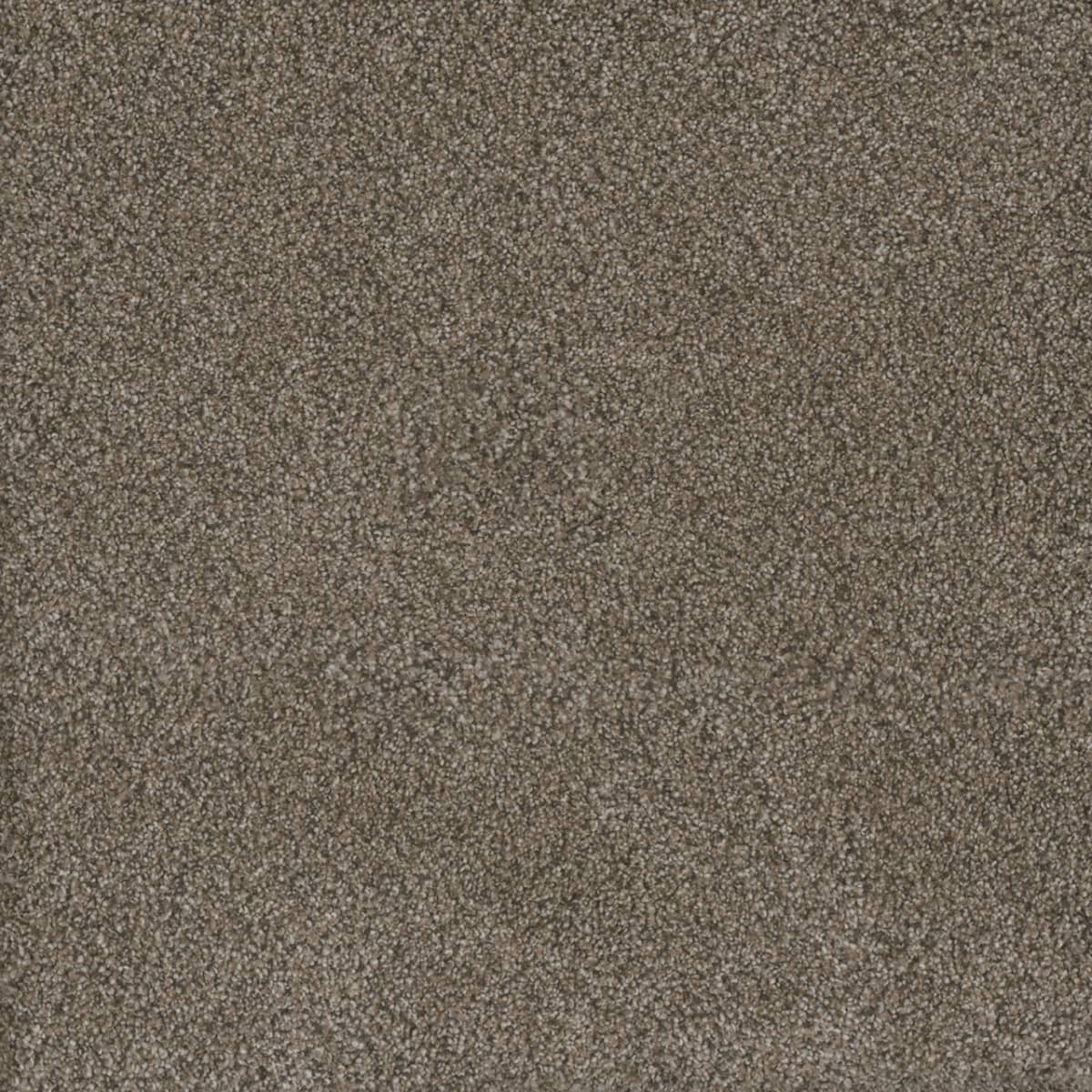 DreamWeaver® Monte Carlo I Textured Cut Pile Carpet