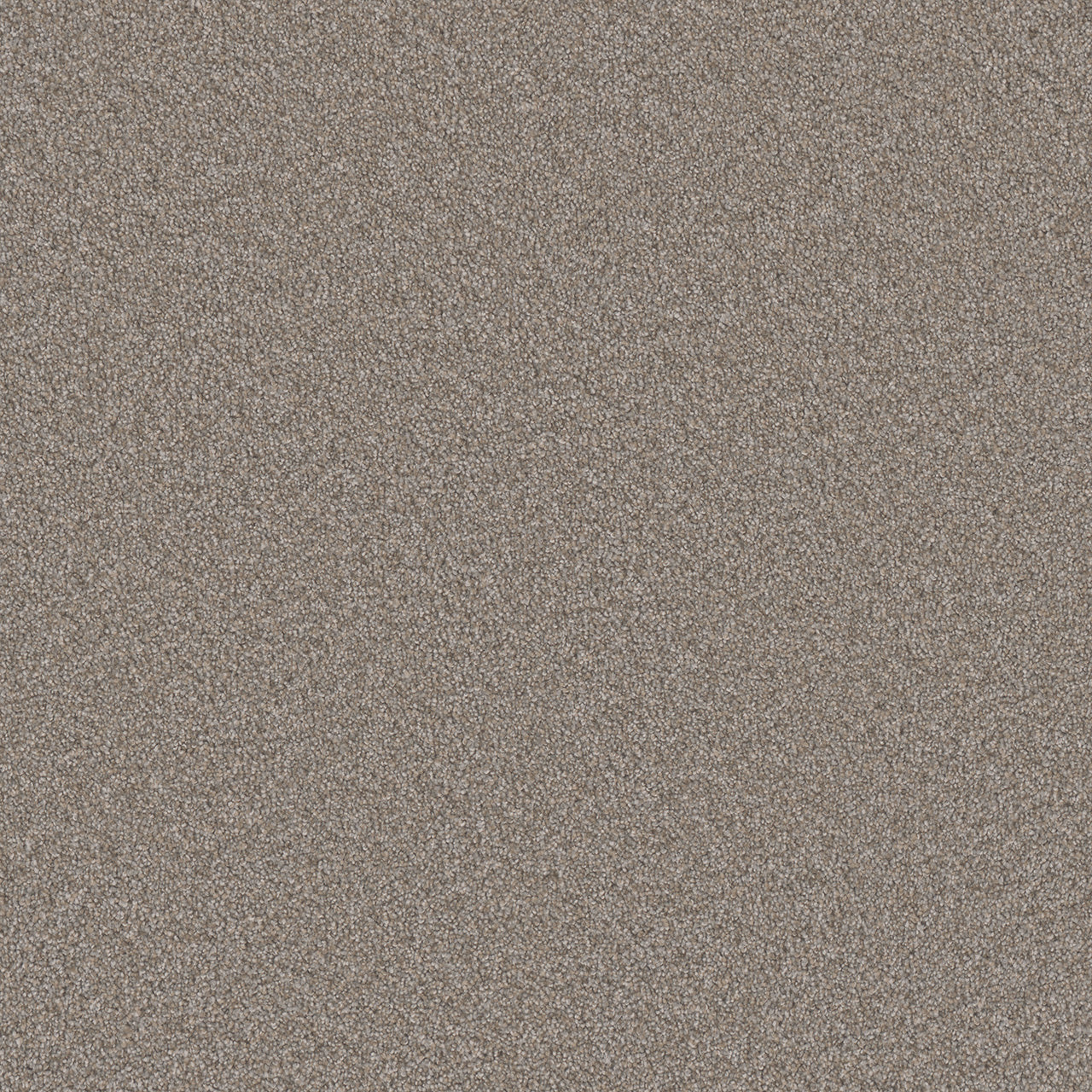 DreamWeaver® Monte Carlo I Textured Cut Pile Carpet