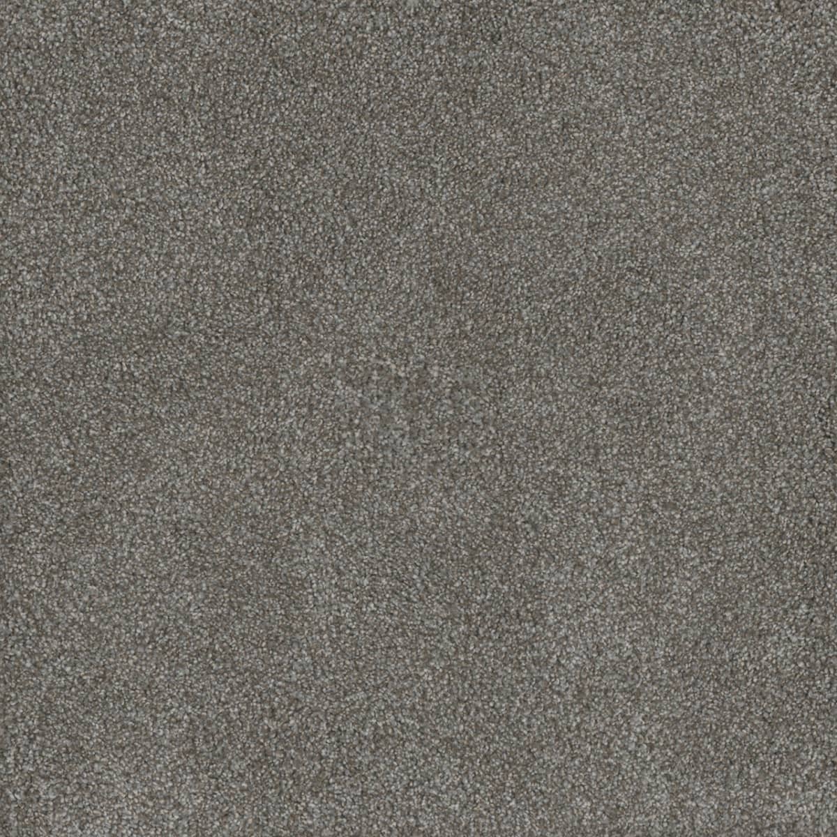 DreamWeaver® Monte Carlo I Textured Cut Pile Carpet