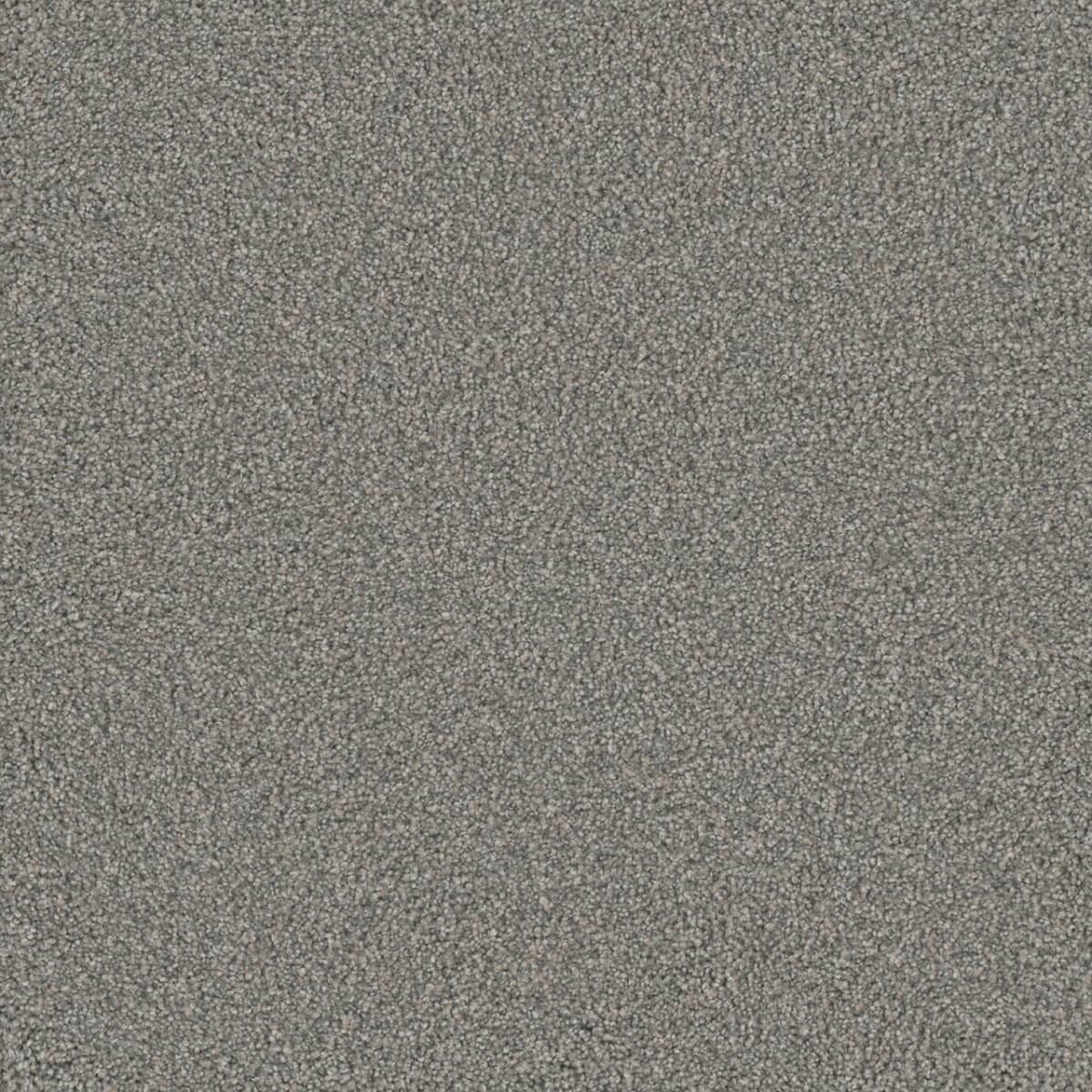 DreamWeaver® Monte Carlo I Textured Cut Pile Carpet