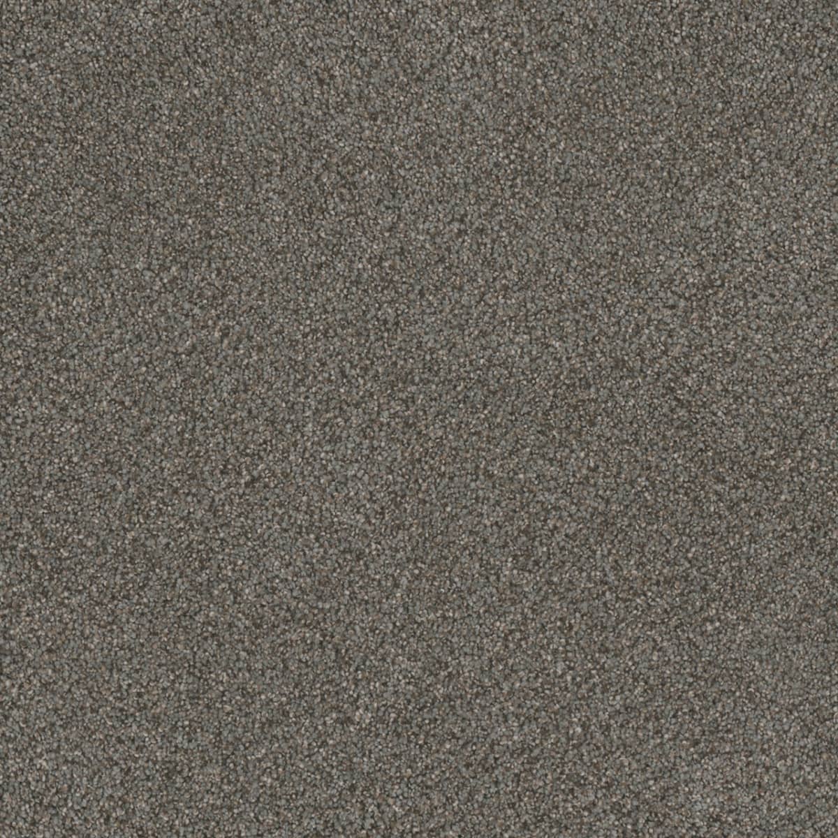DreamWeaver® Monte Carlo I Textured Cut Pile Carpet