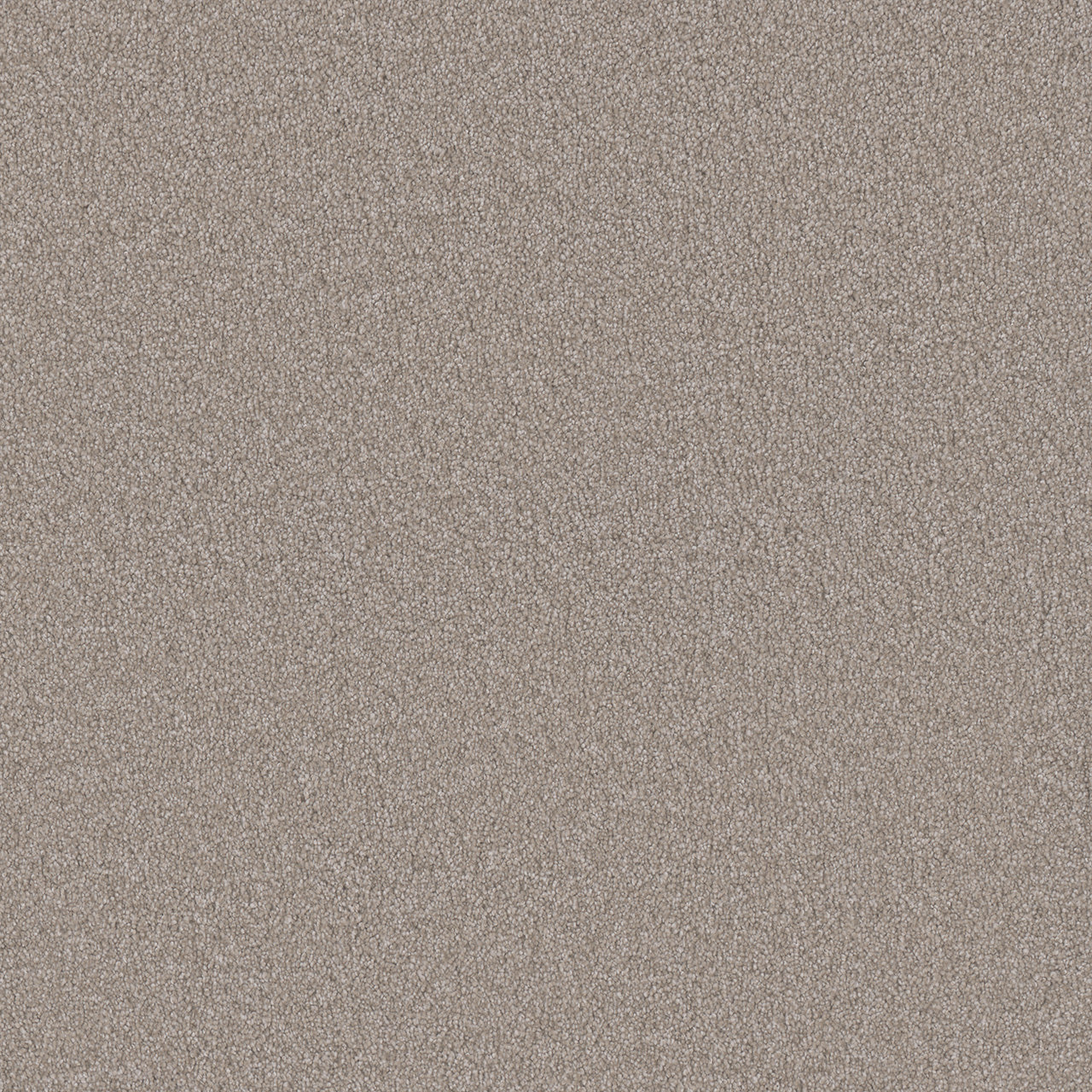 DreamWeaver® Monte Carlo I Textured Cut Pile Carpet