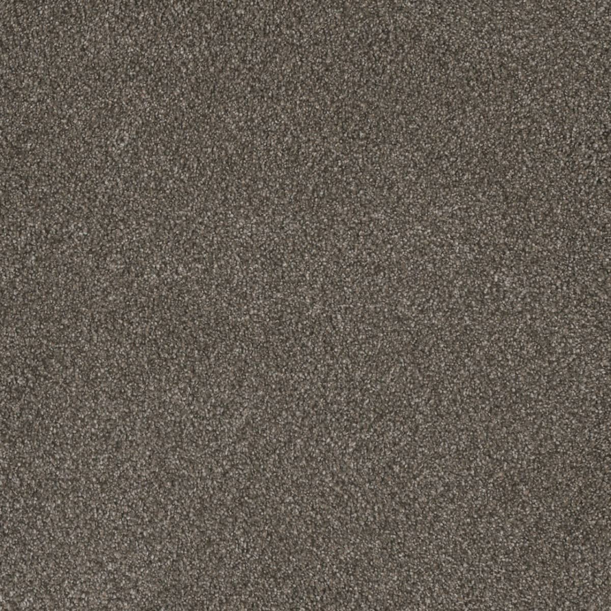 DreamWeaver® Monte Carlo I Textured Cut Pile Carpet