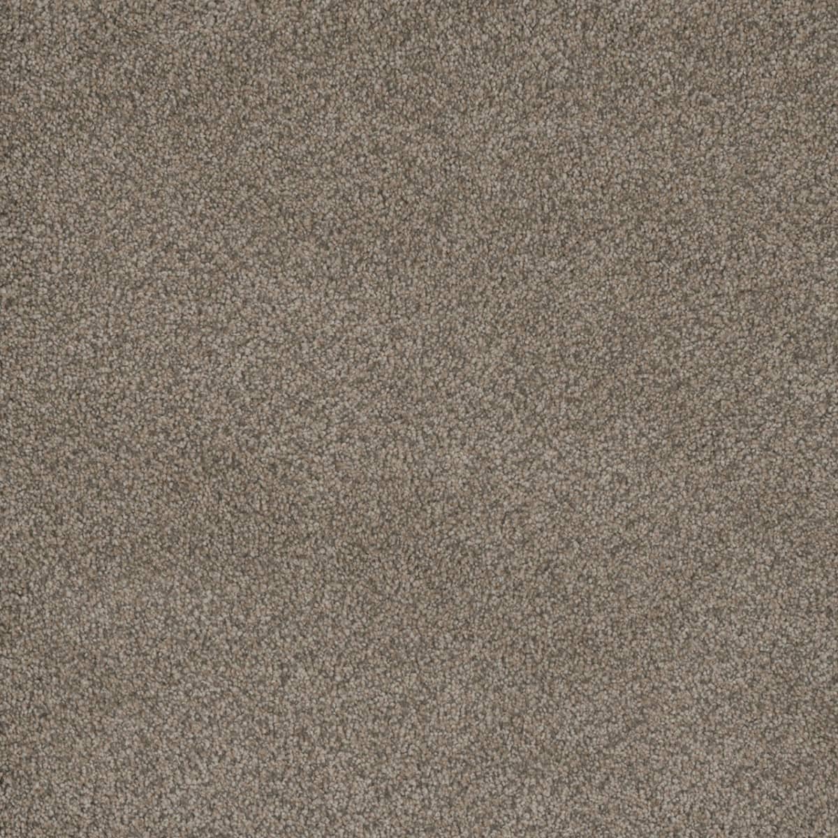 DreamWeaver® Monte Carlo I Textured Cut Pile Carpet