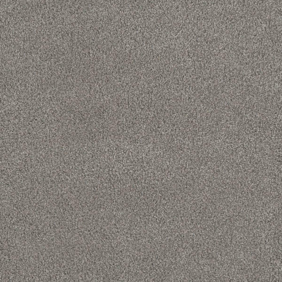 DreamWeaver® Monte Carlo I Textured Cut Pile Carpet