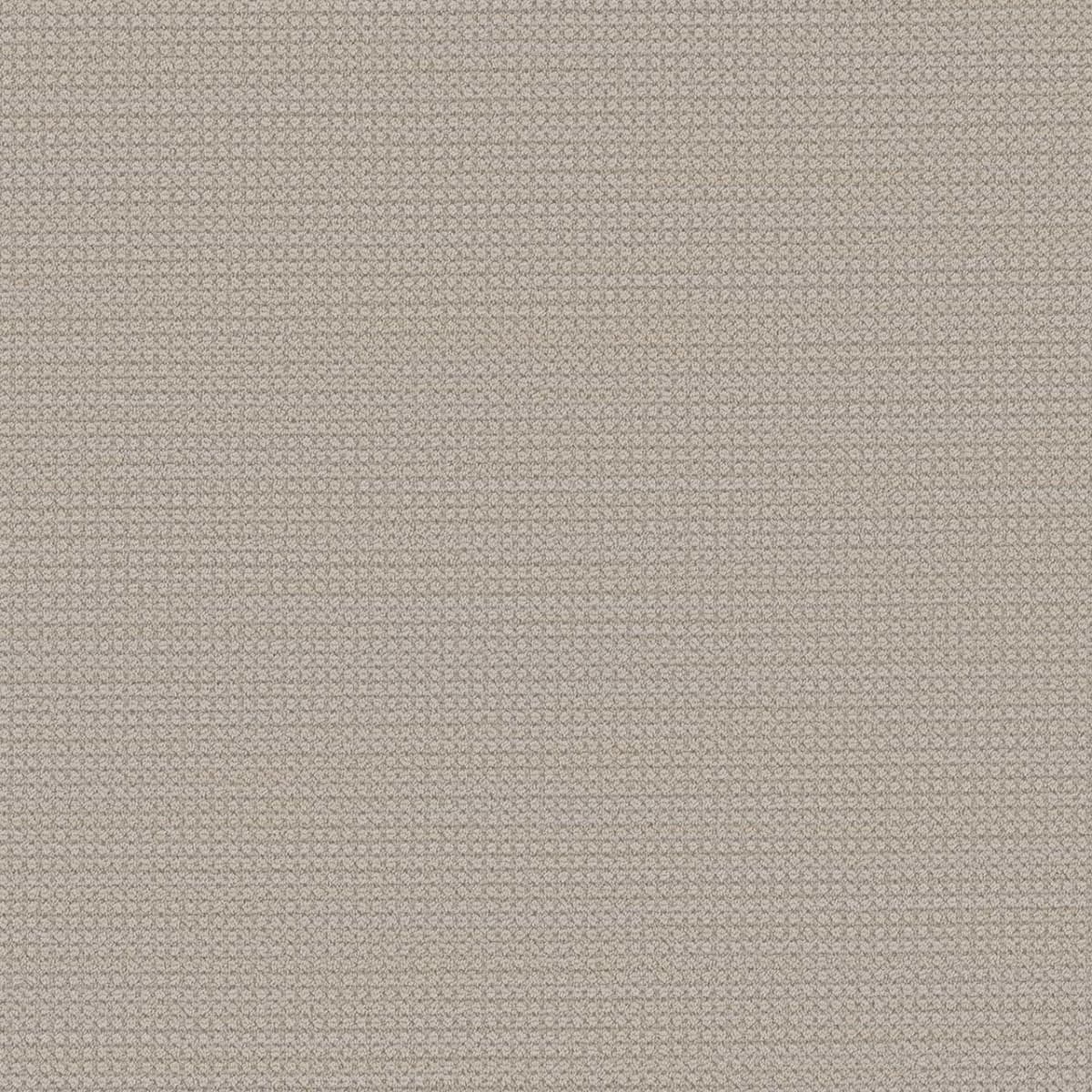 DreamWeaver® Select Montreal Patterned Carpet