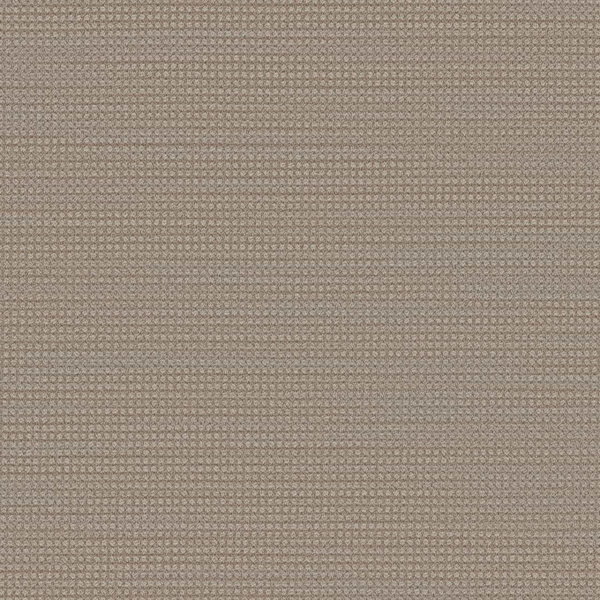 DreamWeaver® Select Montreal Patterned Carpet