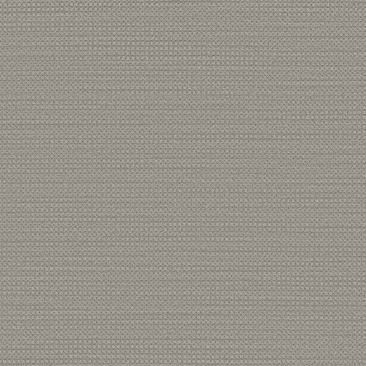 DreamWeaver® Select Montreal Patterned Carpet