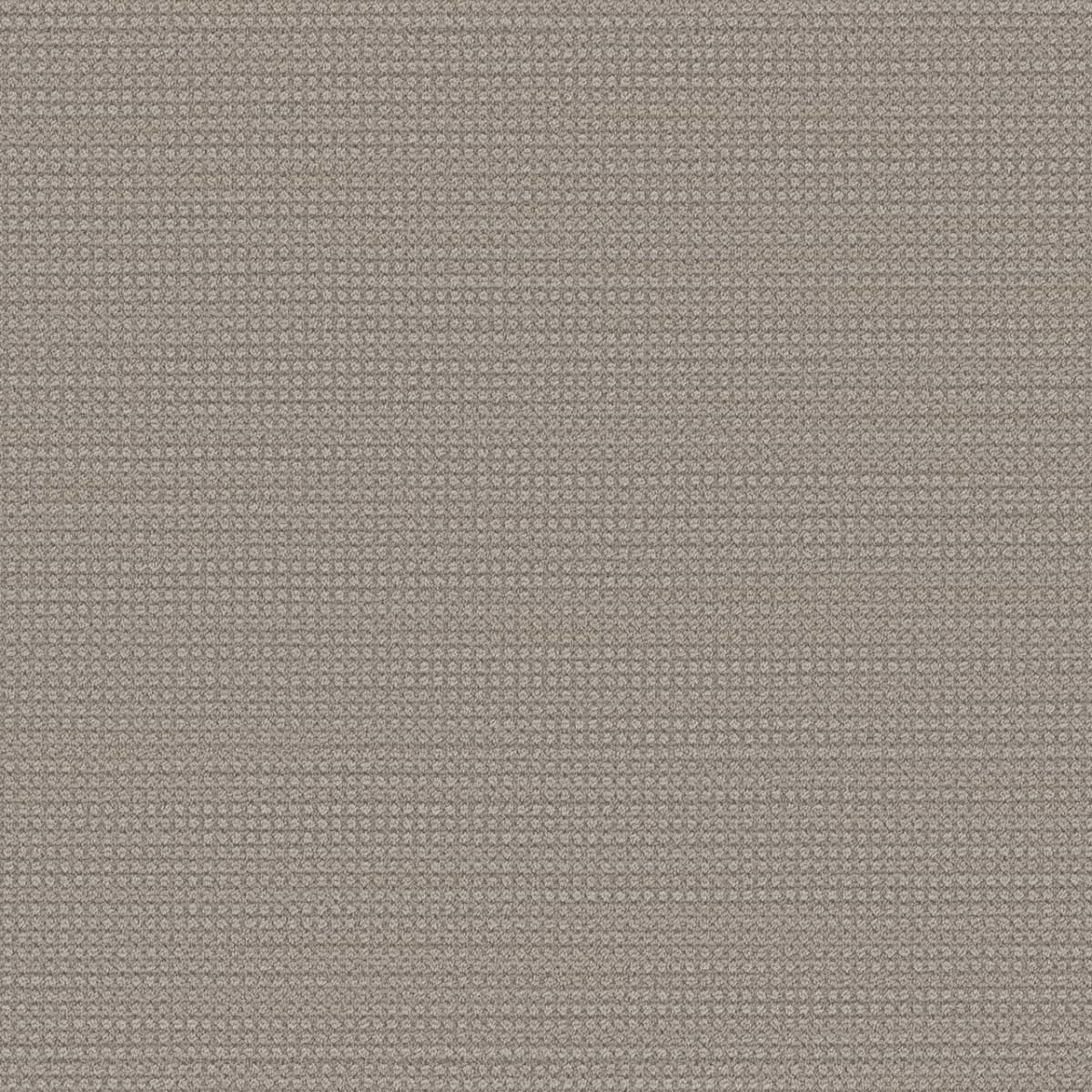 DreamWeaver® Select Montreal Patterned Carpet