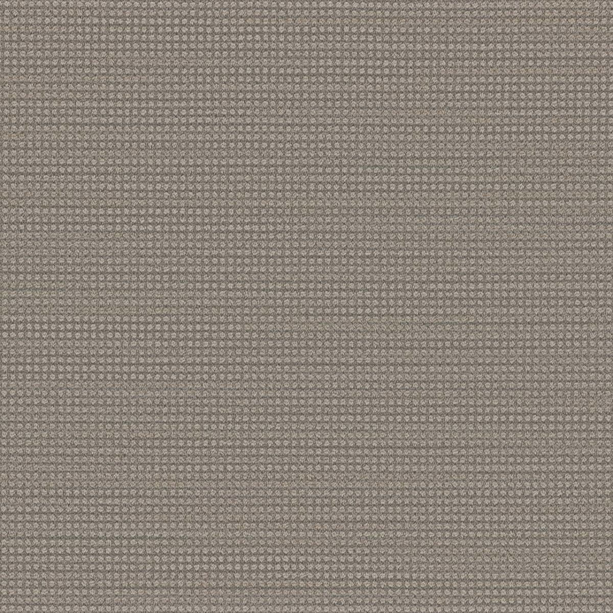 DreamWeaver® Select Montreal Patterned Carpet