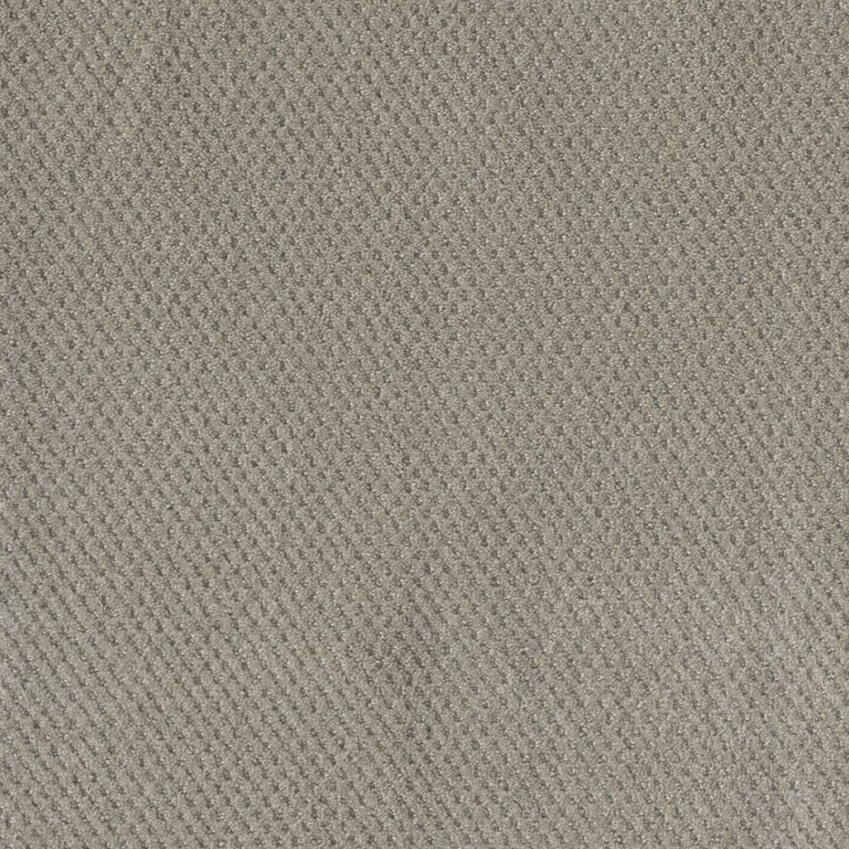 DreamWeaver® Moon Bay Patterned Loop Carpet