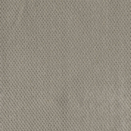 DreamWeaver® Moon Bay Patterned Loop Carpet