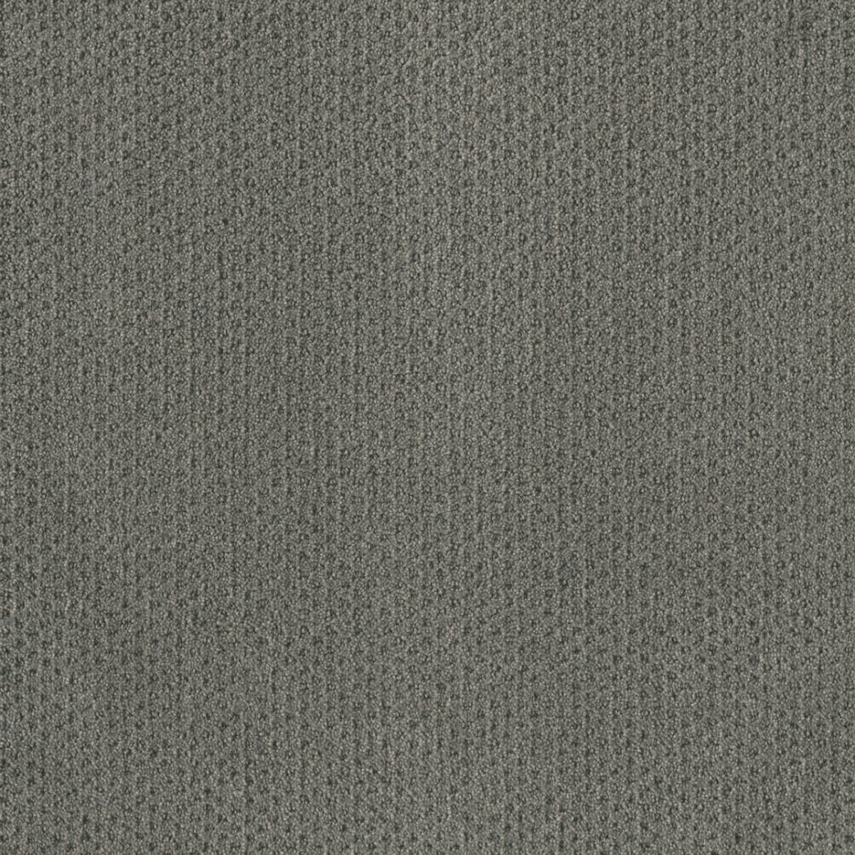 DreamWeaver® Moon Bay Patterned Loop Carpet