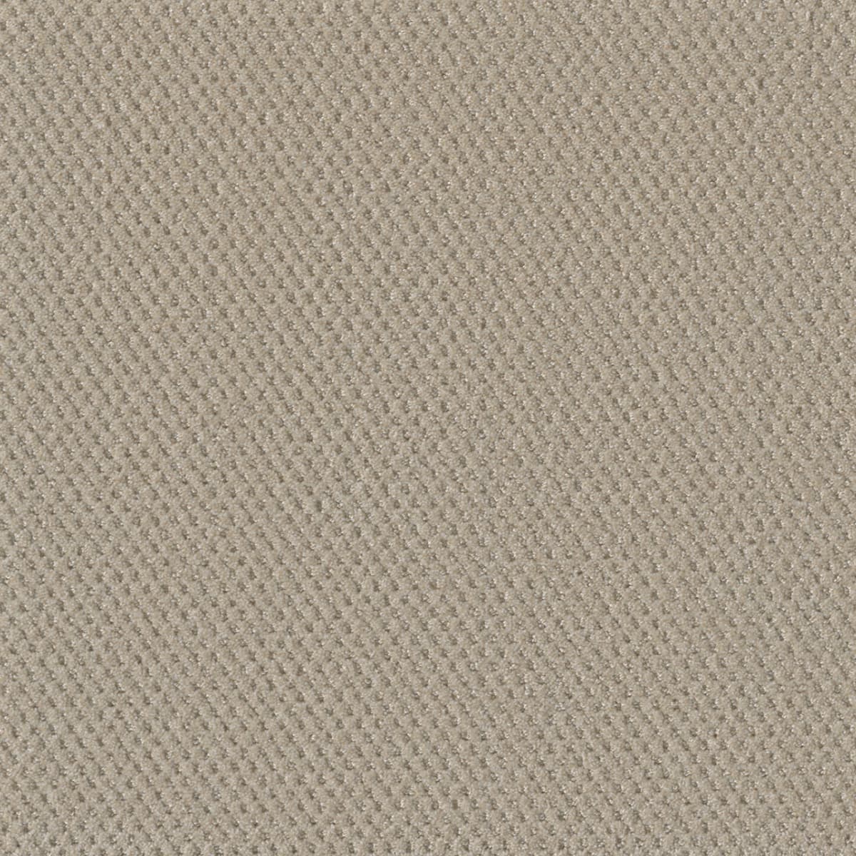 DreamWeaver® Moon Bay Patterned Loop Carpet