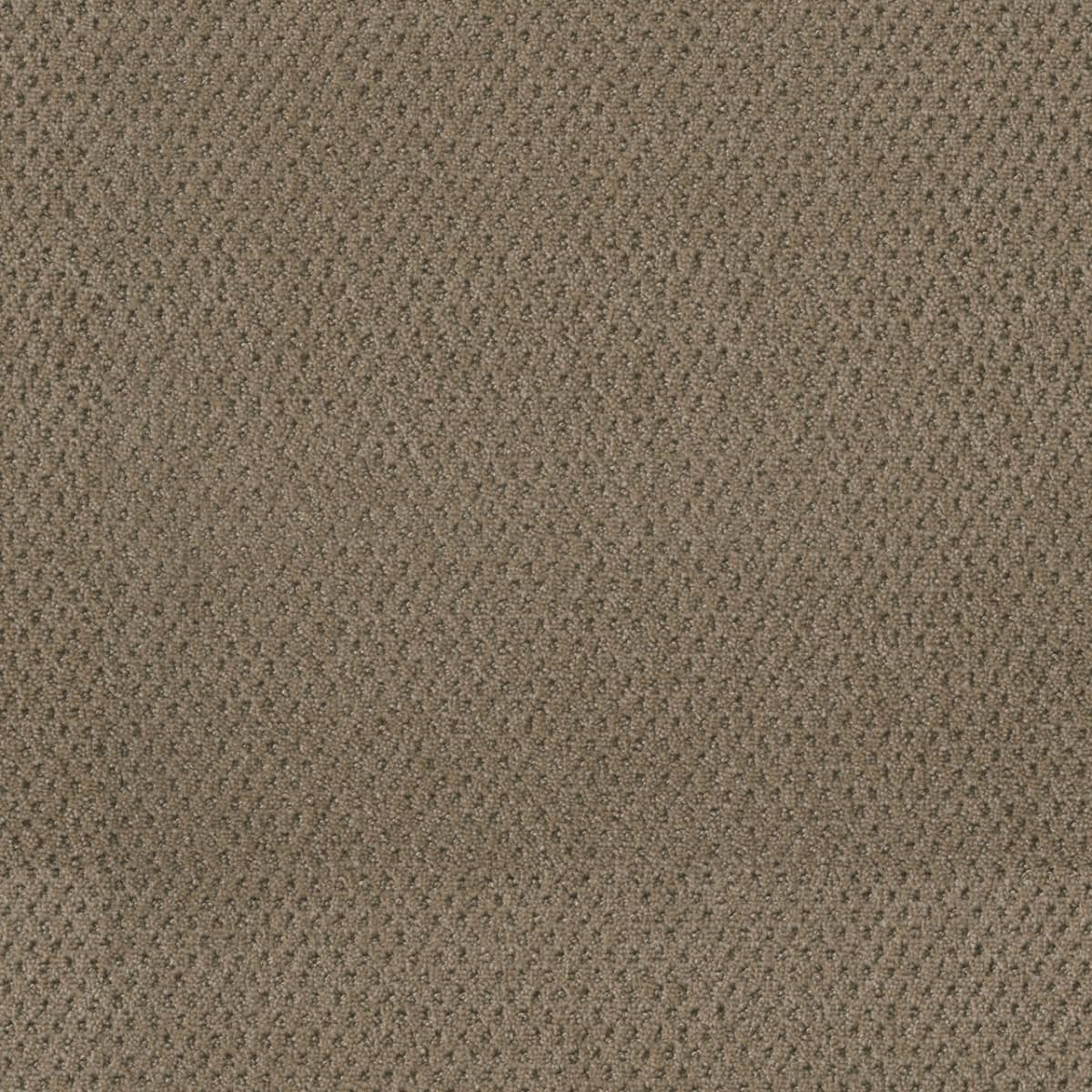 DreamWeaver® Moon Bay Patterned Loop Carpet