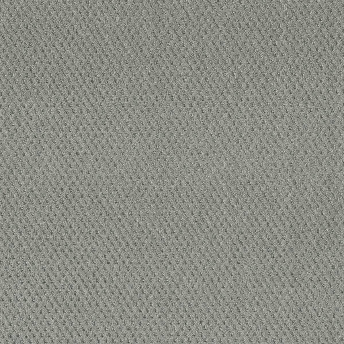 DreamWeaver® Moon Bay Patterned Loop Carpet