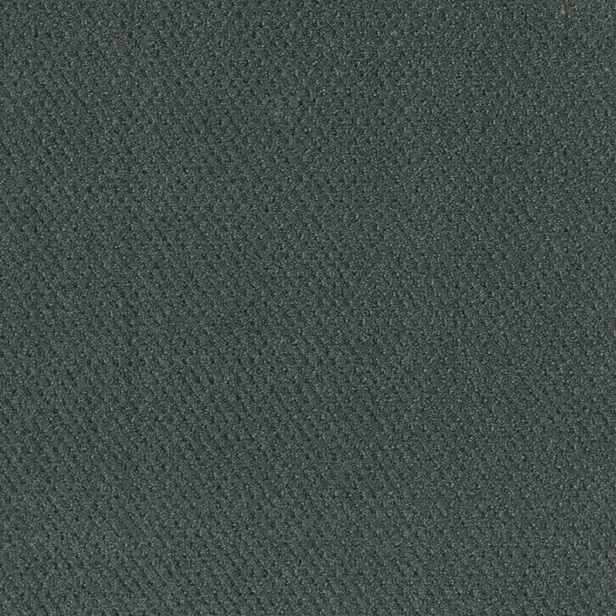 DreamWeaver® Moon Bay Patterned Loop Carpet
