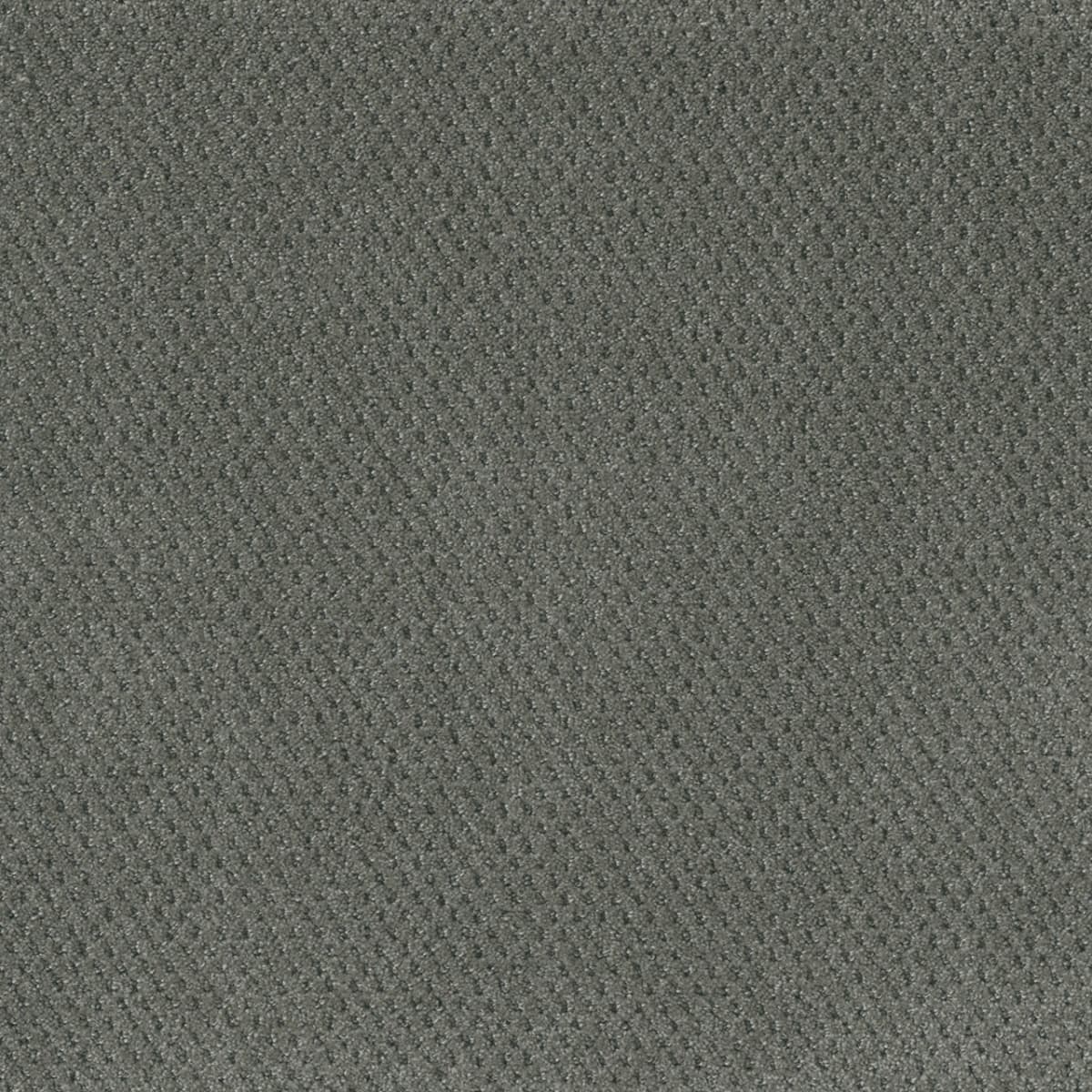 DreamWeaver® Moon Bay Patterned Loop Carpet