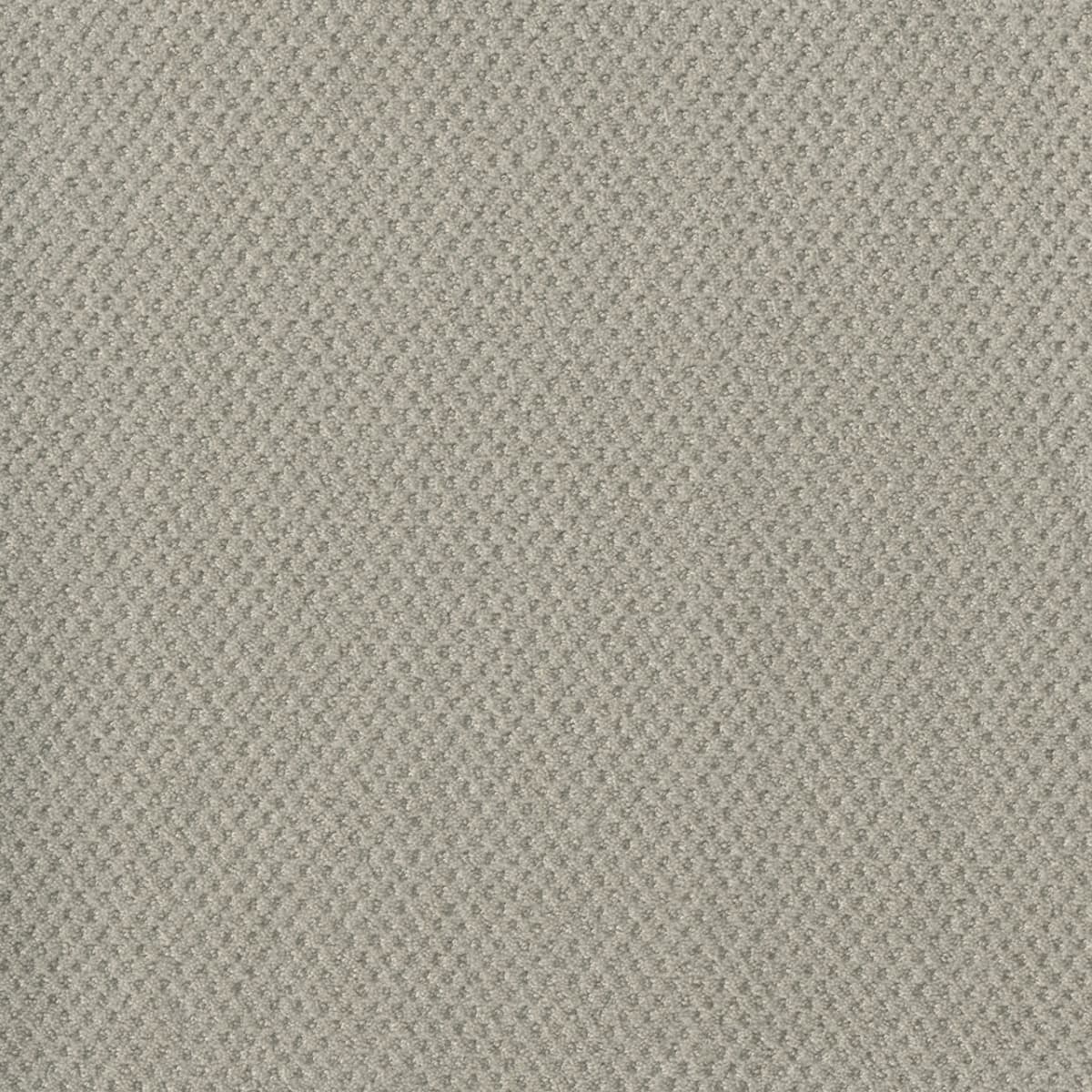 DreamWeaver® Moon Bay Patterned Loop Carpet