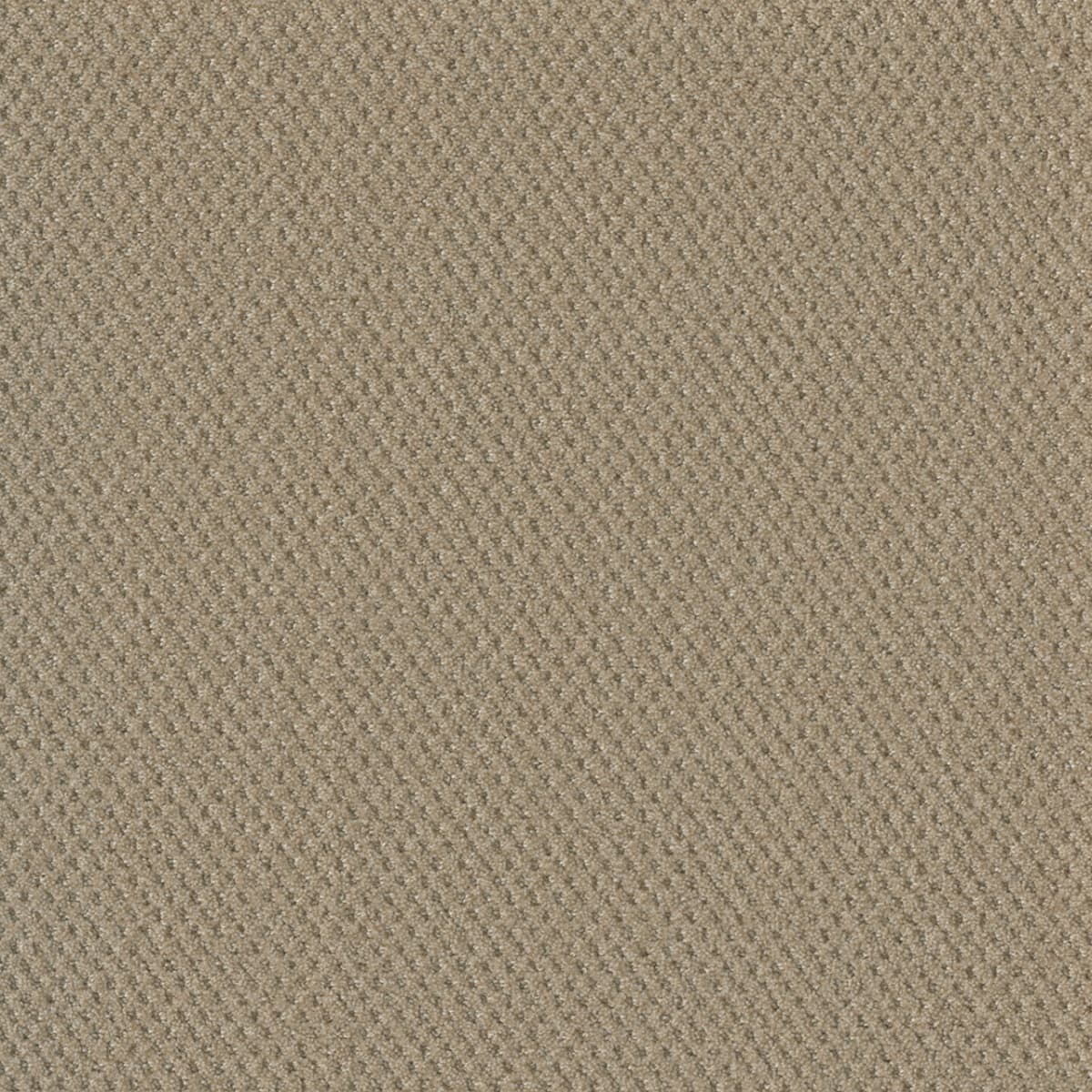 DreamWeaver® Moon Bay Patterned Loop Carpet
