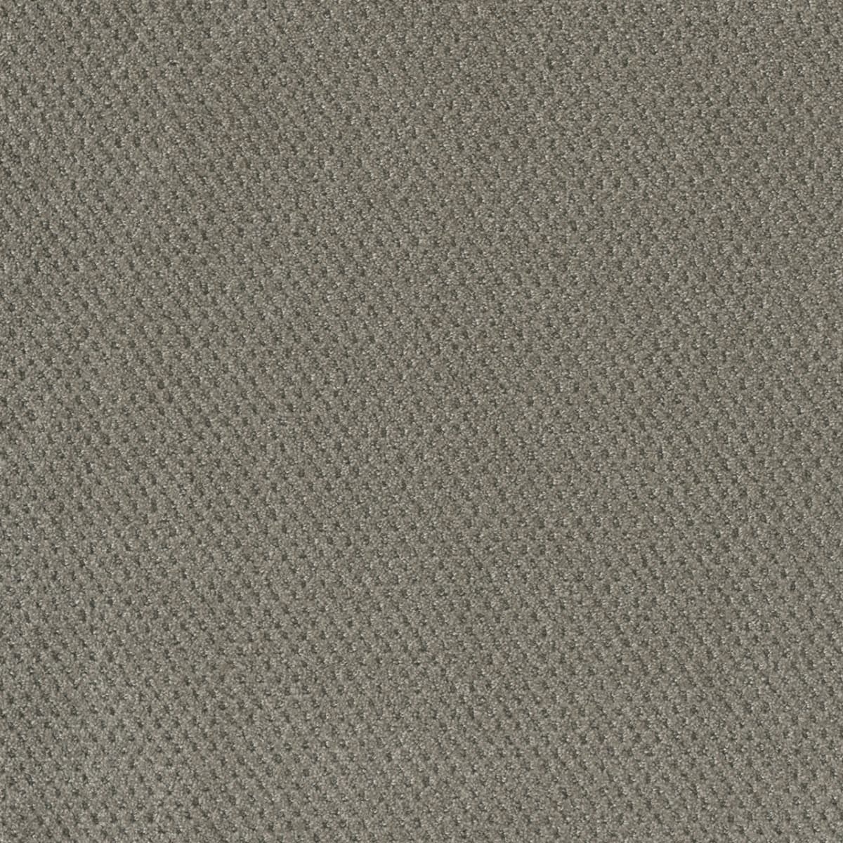 DreamWeaver® Moon Bay Patterned Loop Carpet
